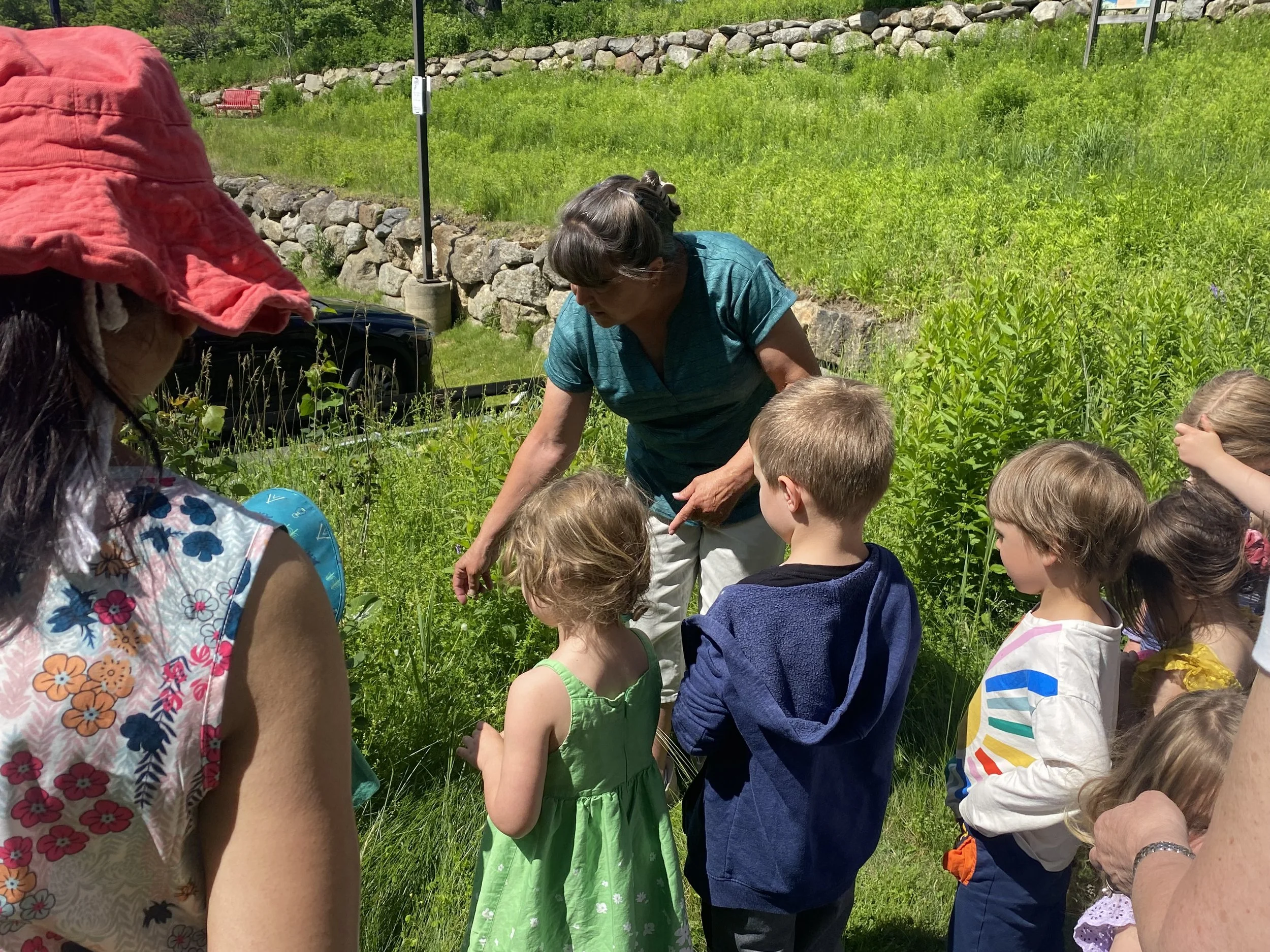 Nature Exploration Story Time (NEST) - Sweet Berries