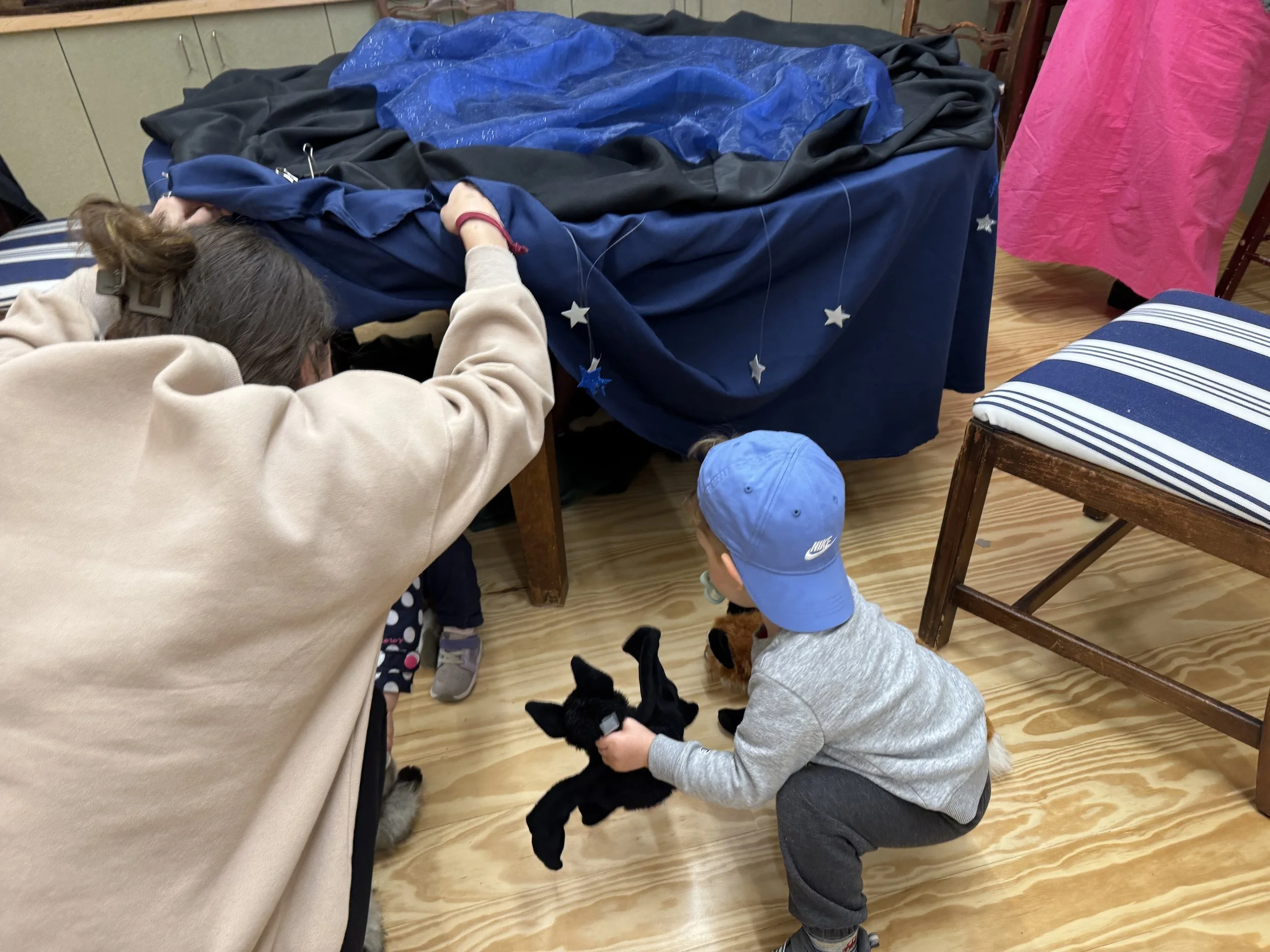 Evening Nature Exploration Story Time (NEST) - Nighttime in Nature