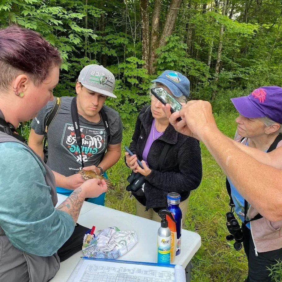 Black Mountain Bird Banding Station Field Program
