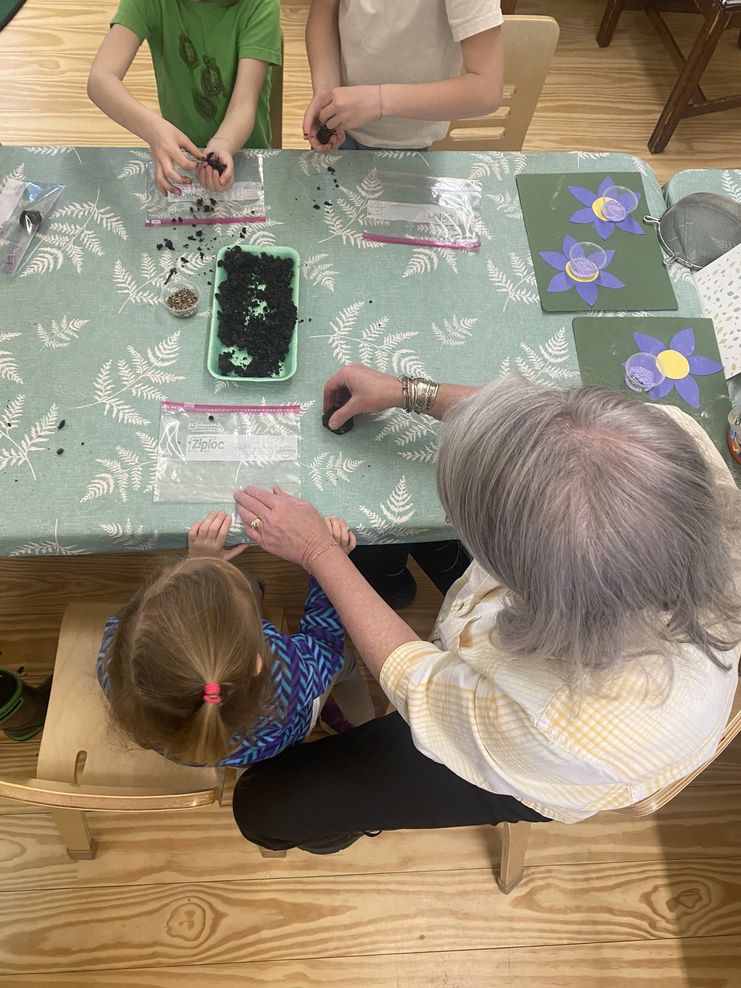 Nature Exploration Story Time (NEST) - Fields, Flowers, Ferns