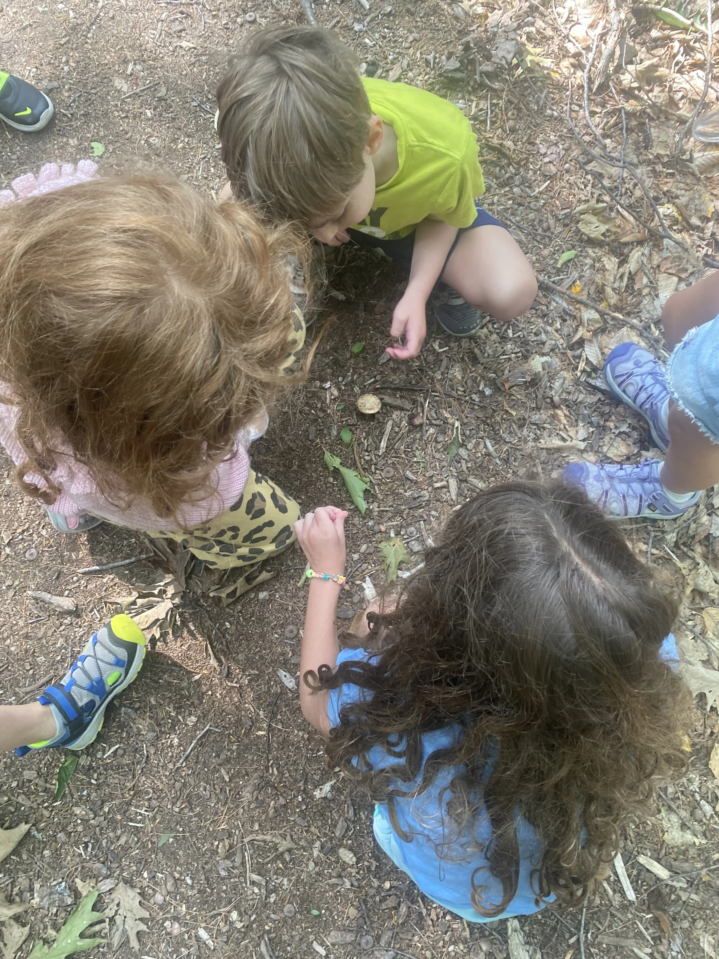 Nature Exploration Story Time (NEST) - Magnificent Mushrooms