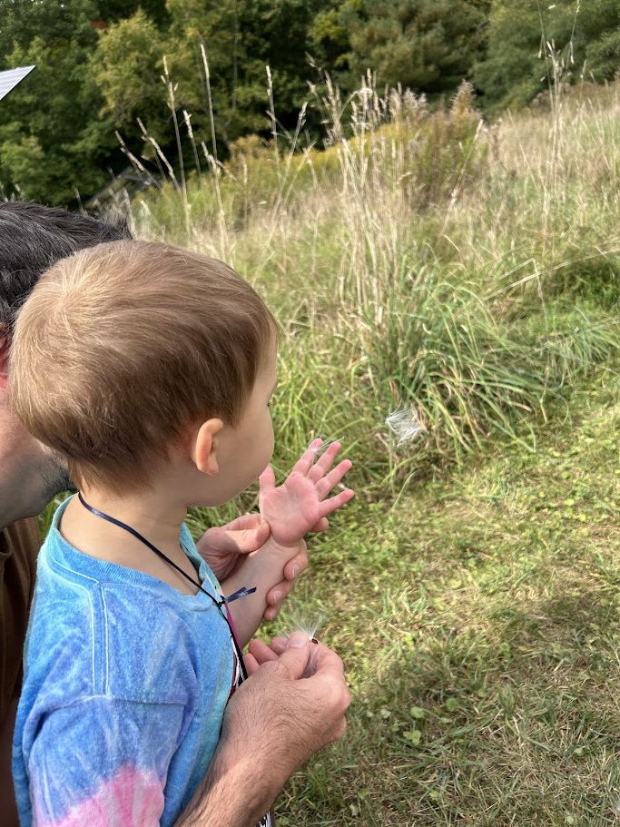 Nature Exploration Story Time (NEST) - Acorns and Seeds Abound