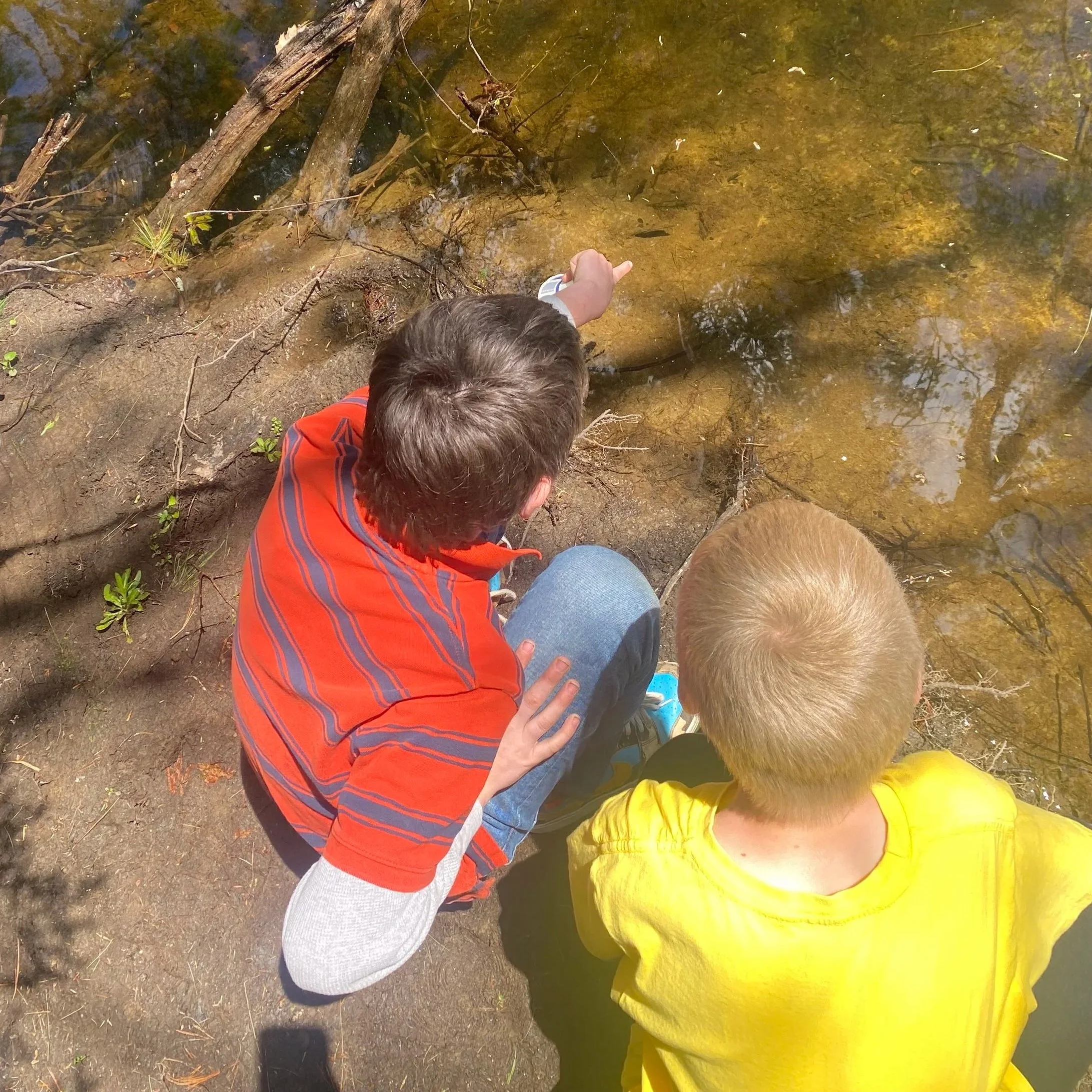 Simulating a NH River Ecosystem: Teacher Workshop