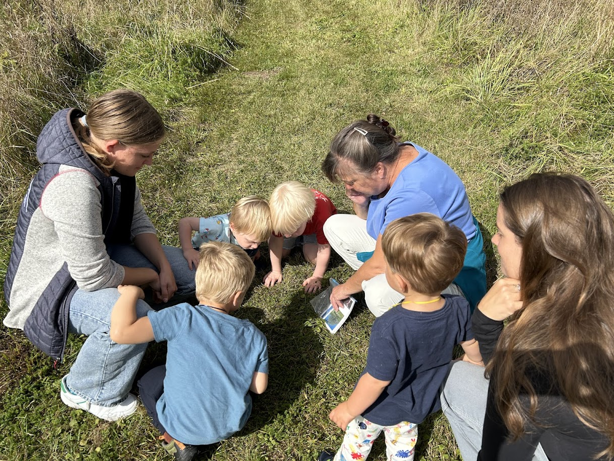 Nature Exploration Story Time (NEST) - Lovely Lichens