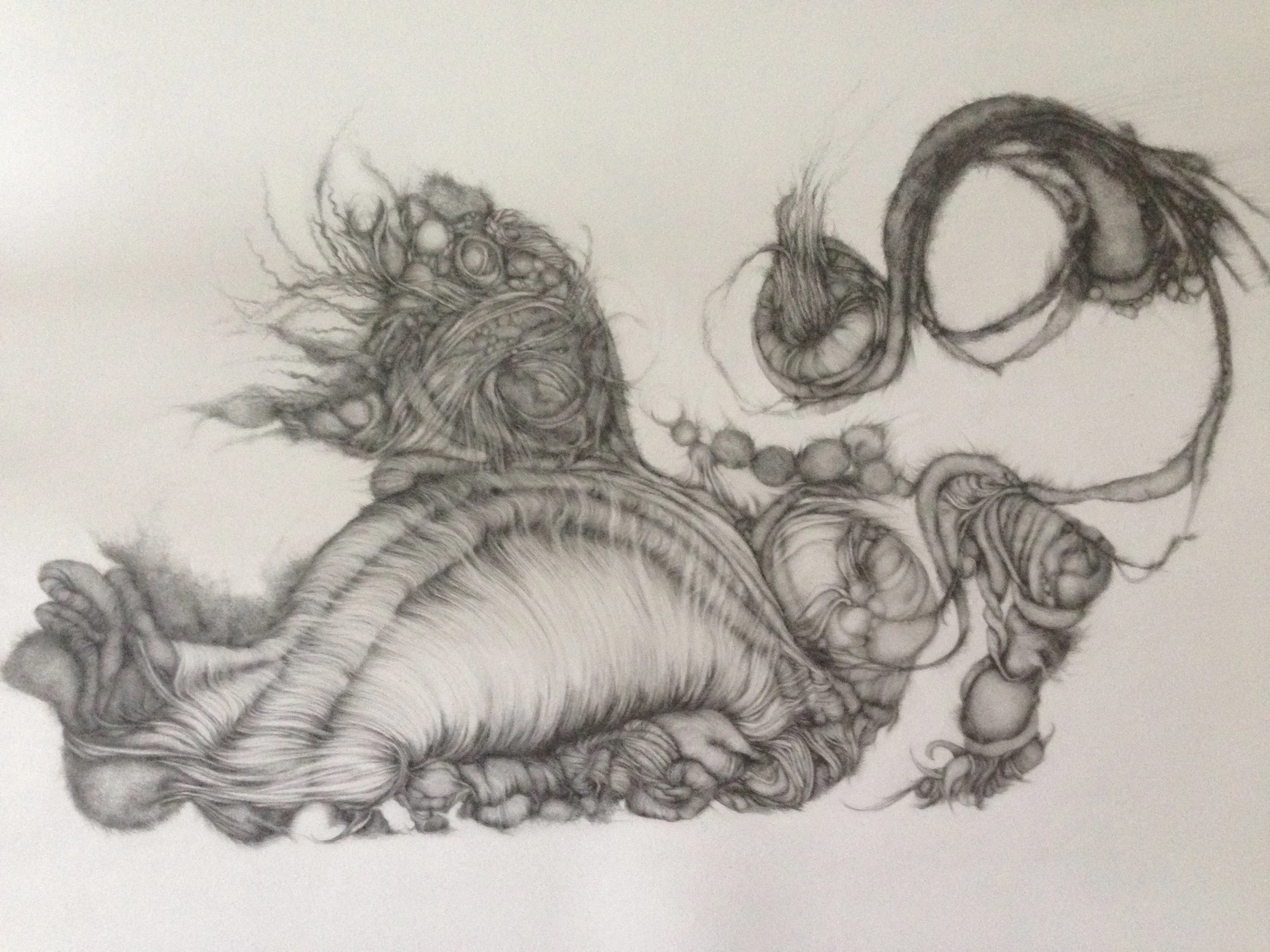 Roar, 2014, graphite on Arches paper, 22" x 30", matted. $200.