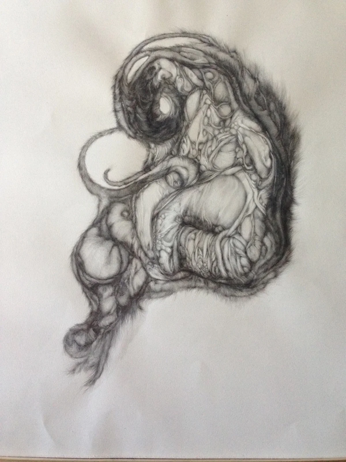 Waiting on Fate, 2014, graphite on Arches paper, 26" x 20", matted and framed. $200.