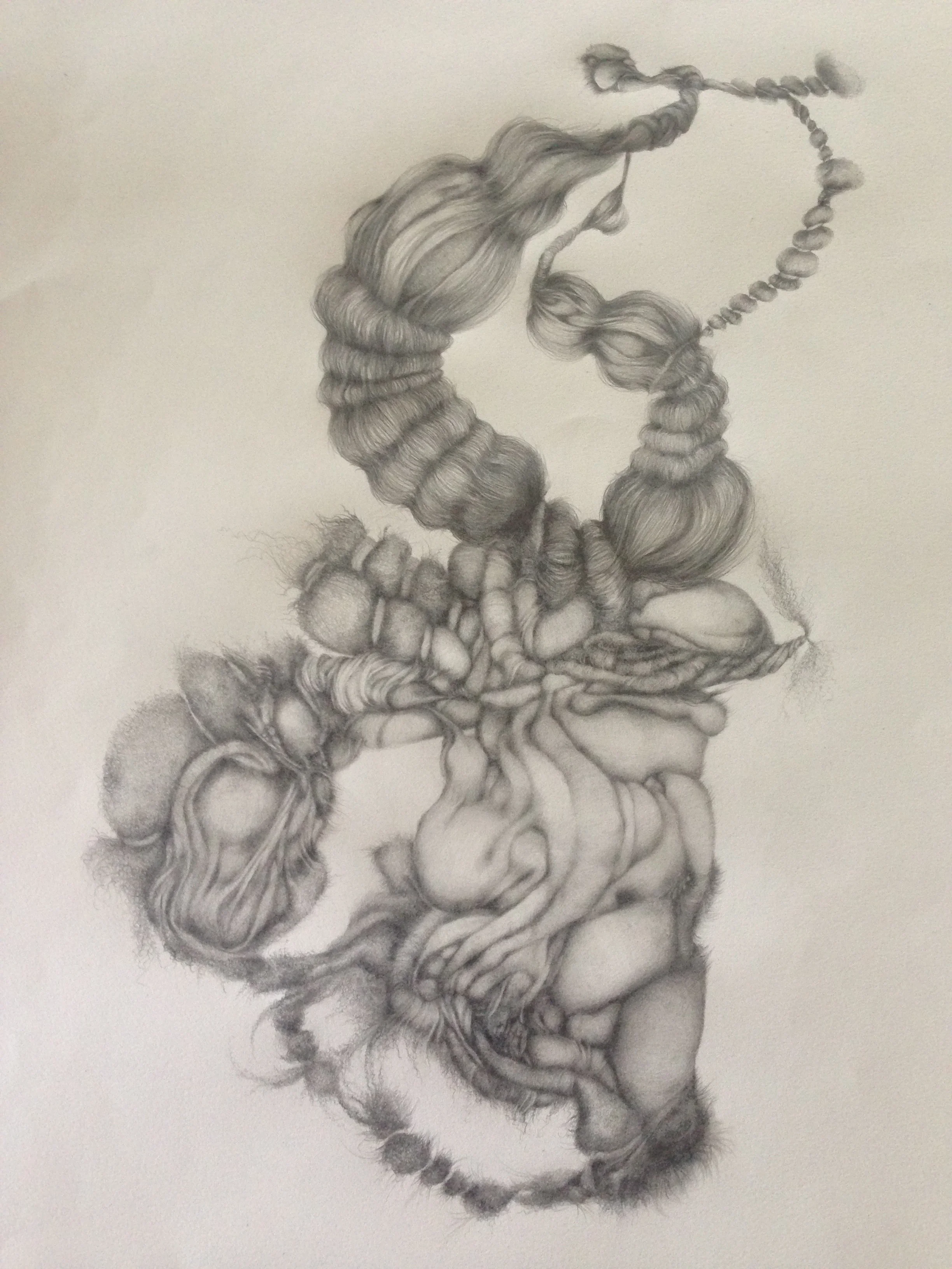 Squeeze Face, 2014, graphite on Arches paper, 30" x 22". Not matted or framed. $100.
