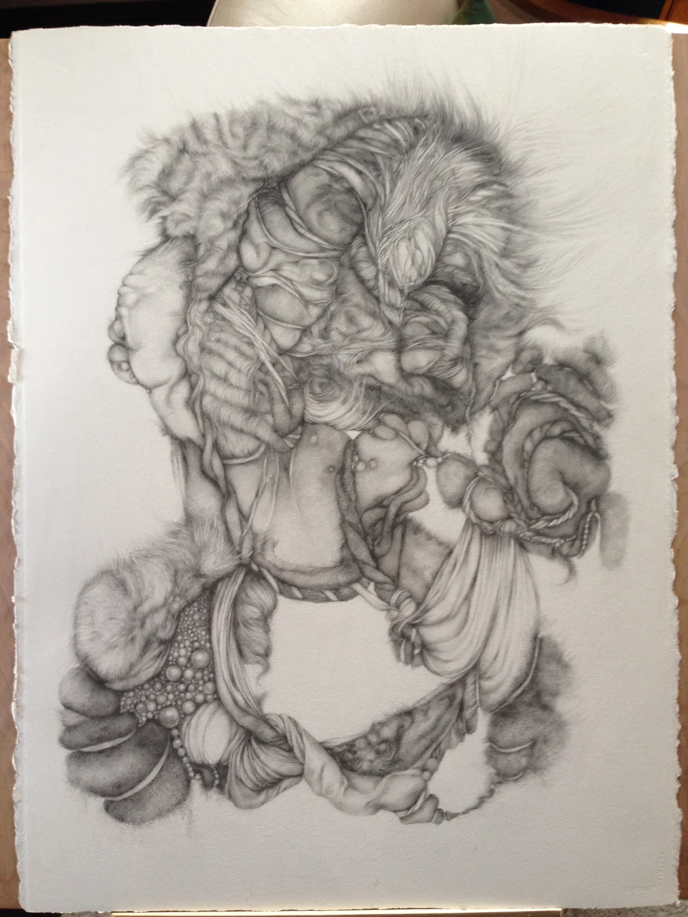 Miss Chatelaine, 2014, graphite on Arches Paper, 30” x 22”