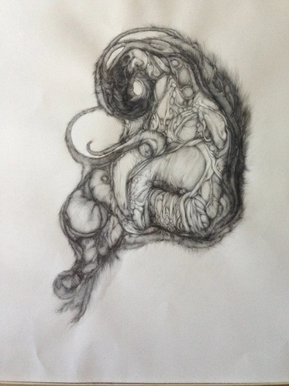 Waiting on Fate, 2013, graphite on paper, 26” x 20”
