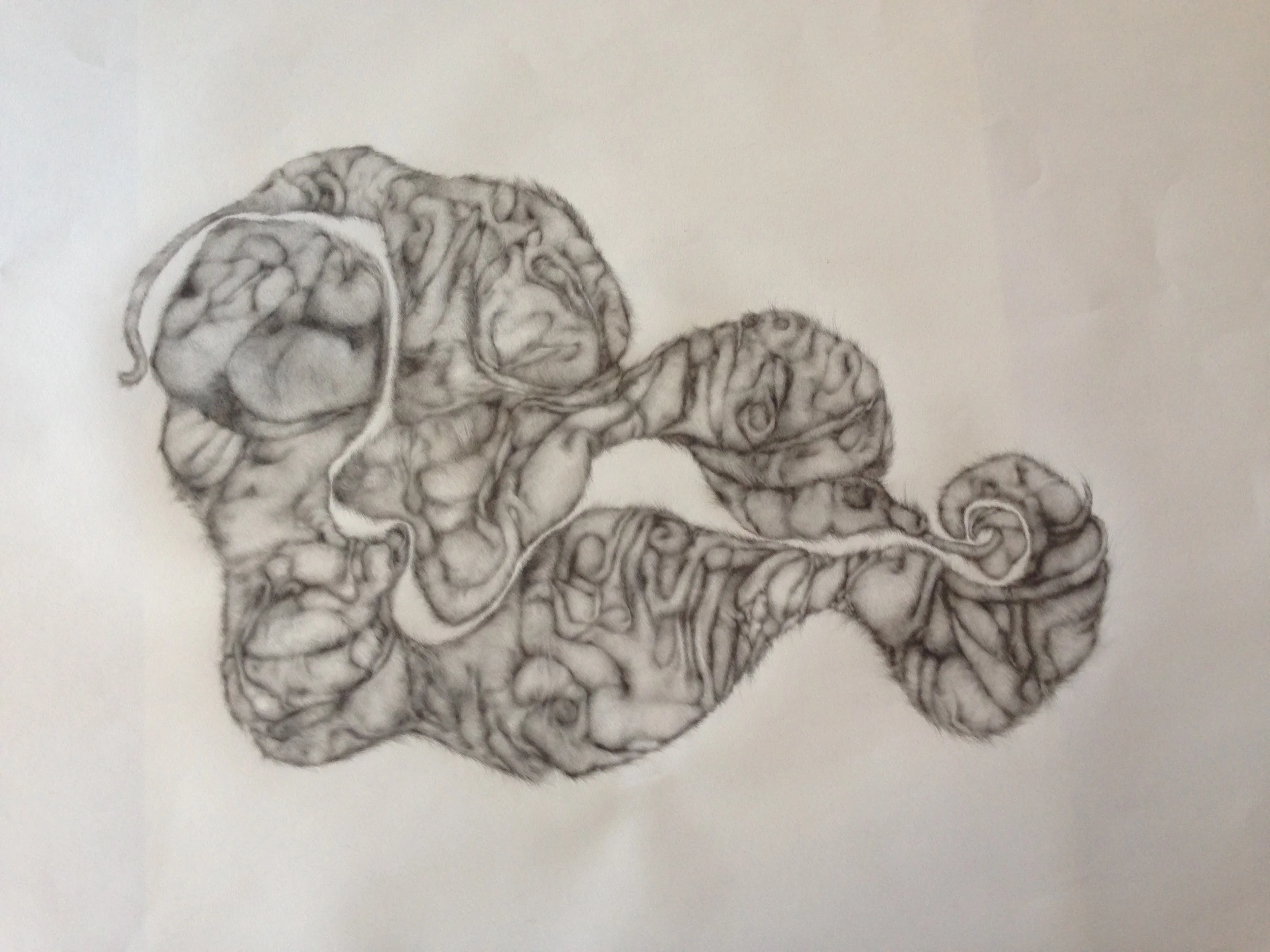 Bodies in Motion, 2013, graphite on paper, 26” x 40”