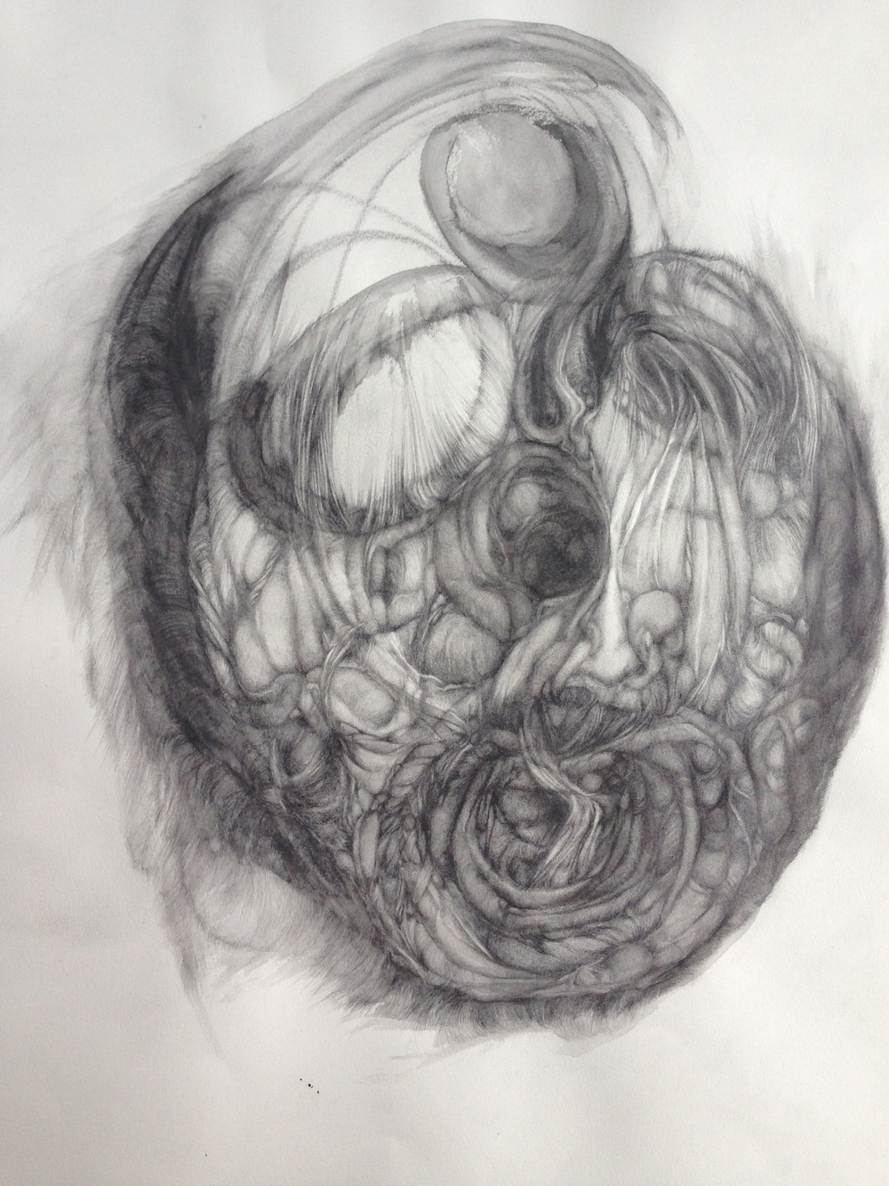 Rainy Day Mask, 2014, graphite on paper, 26” x 20”