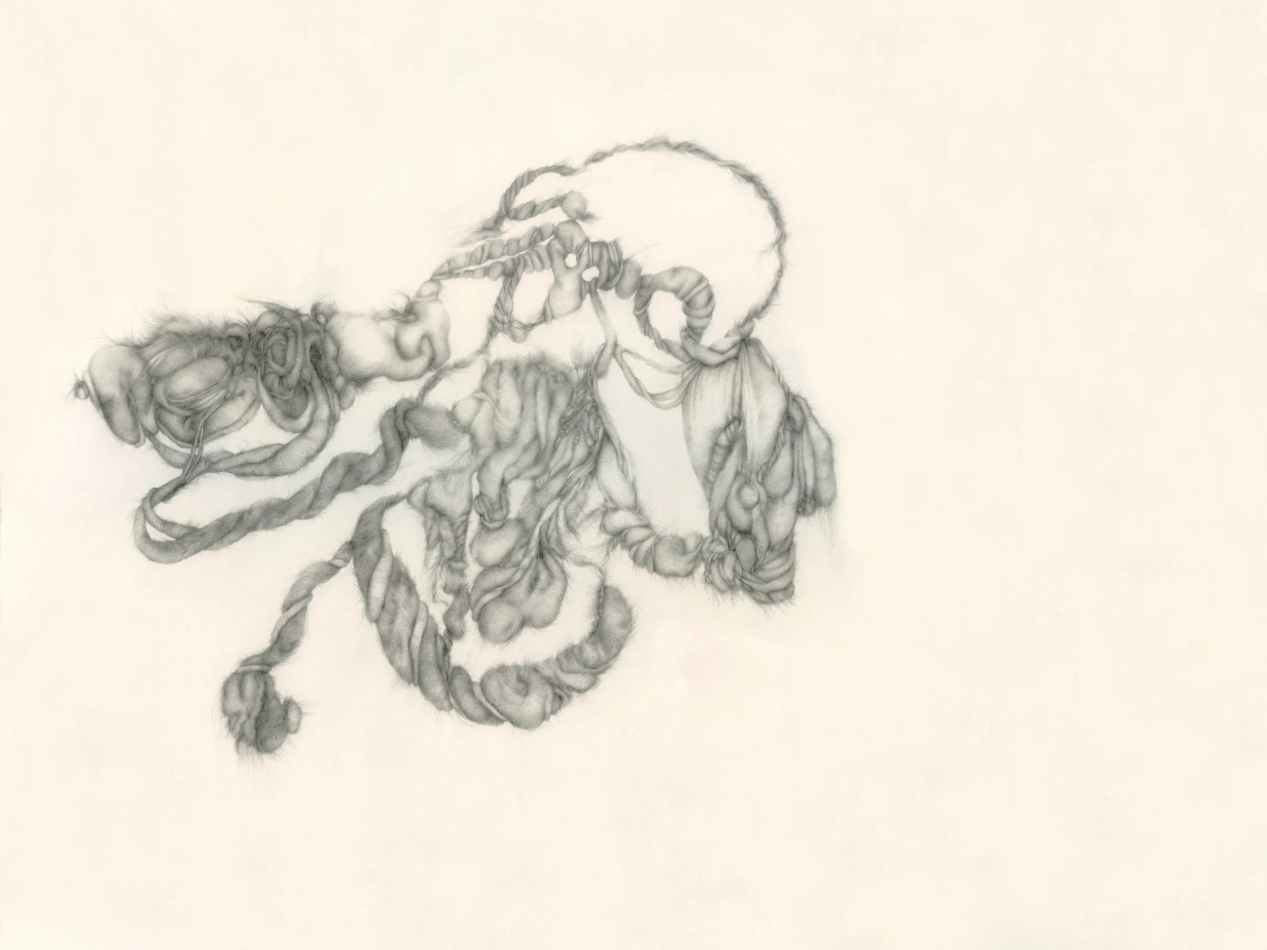 Headdress, 2014, graphite on Arches paper, 22” x 30”