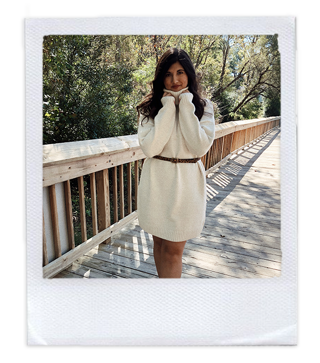 sweaterdressblog1.png