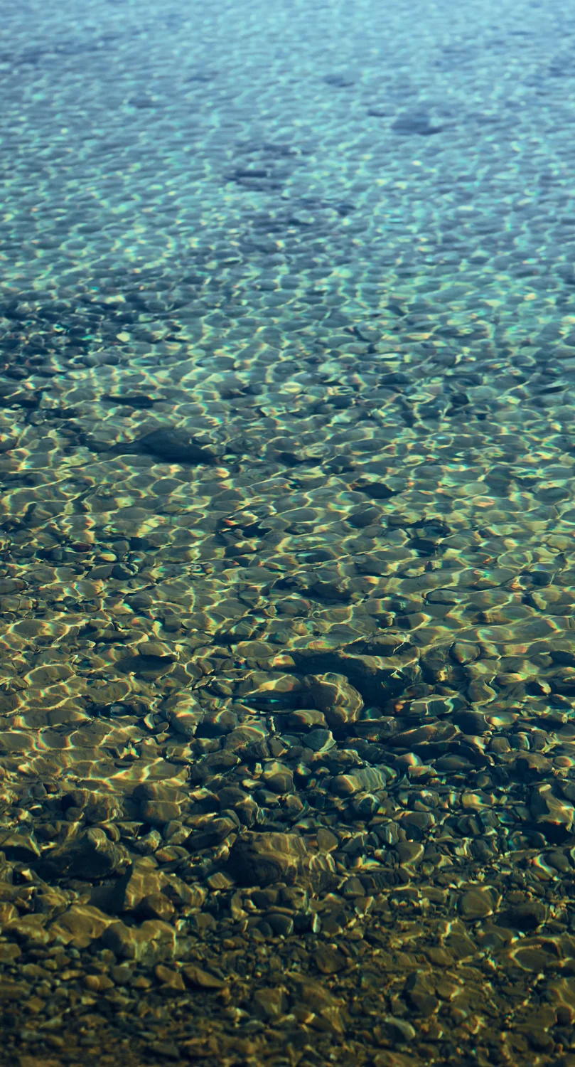 CF058079Feb 07 2016.jpg