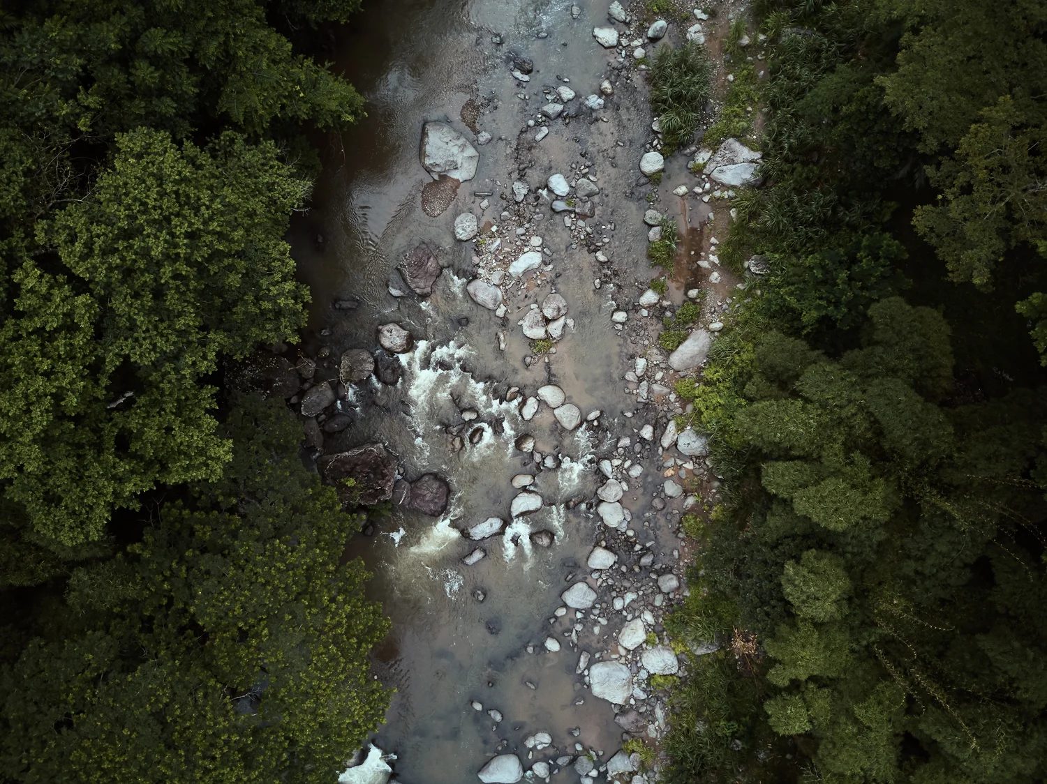 DJI_0050.jpg
