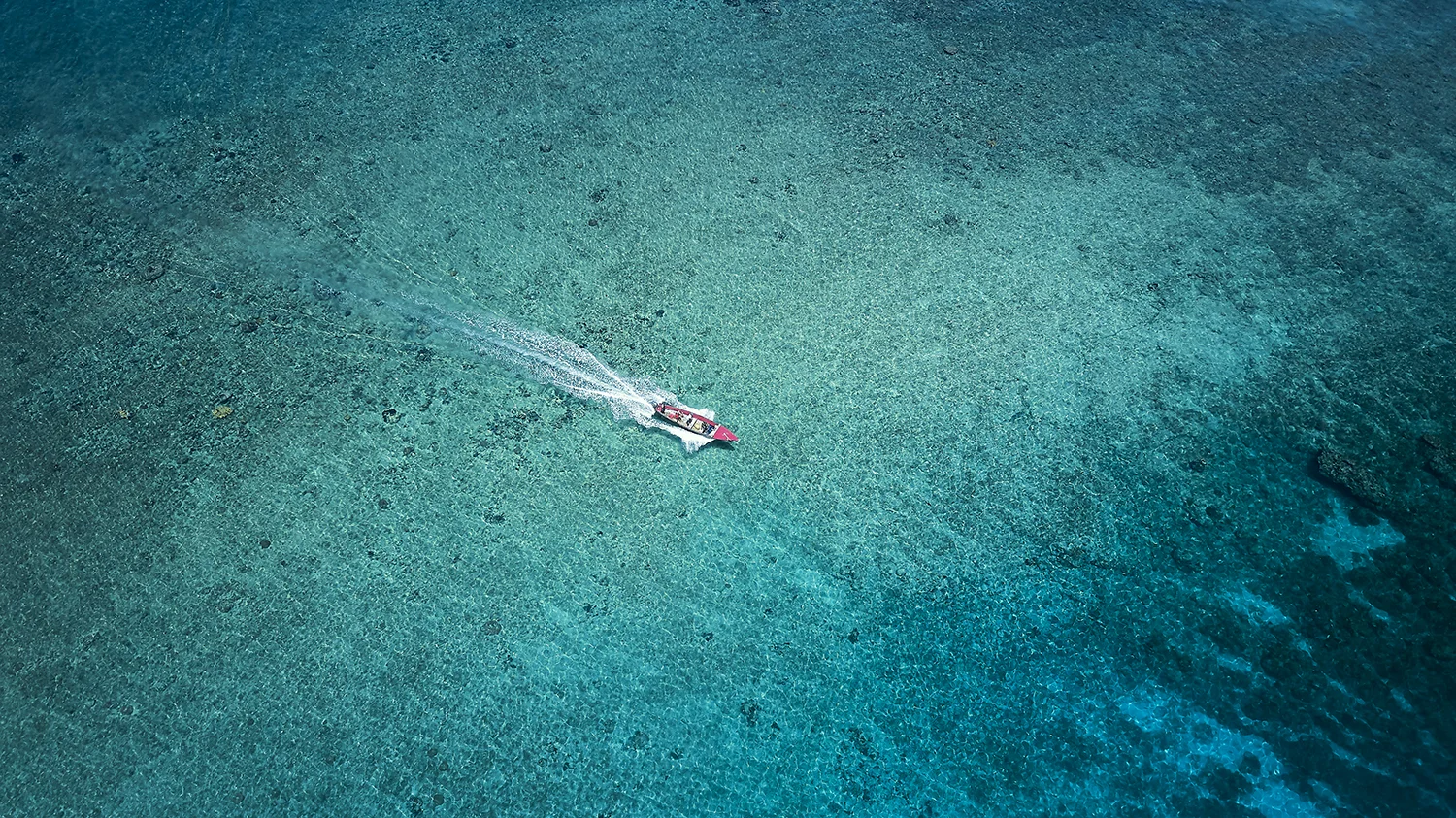 DJI_0084 1.jpg