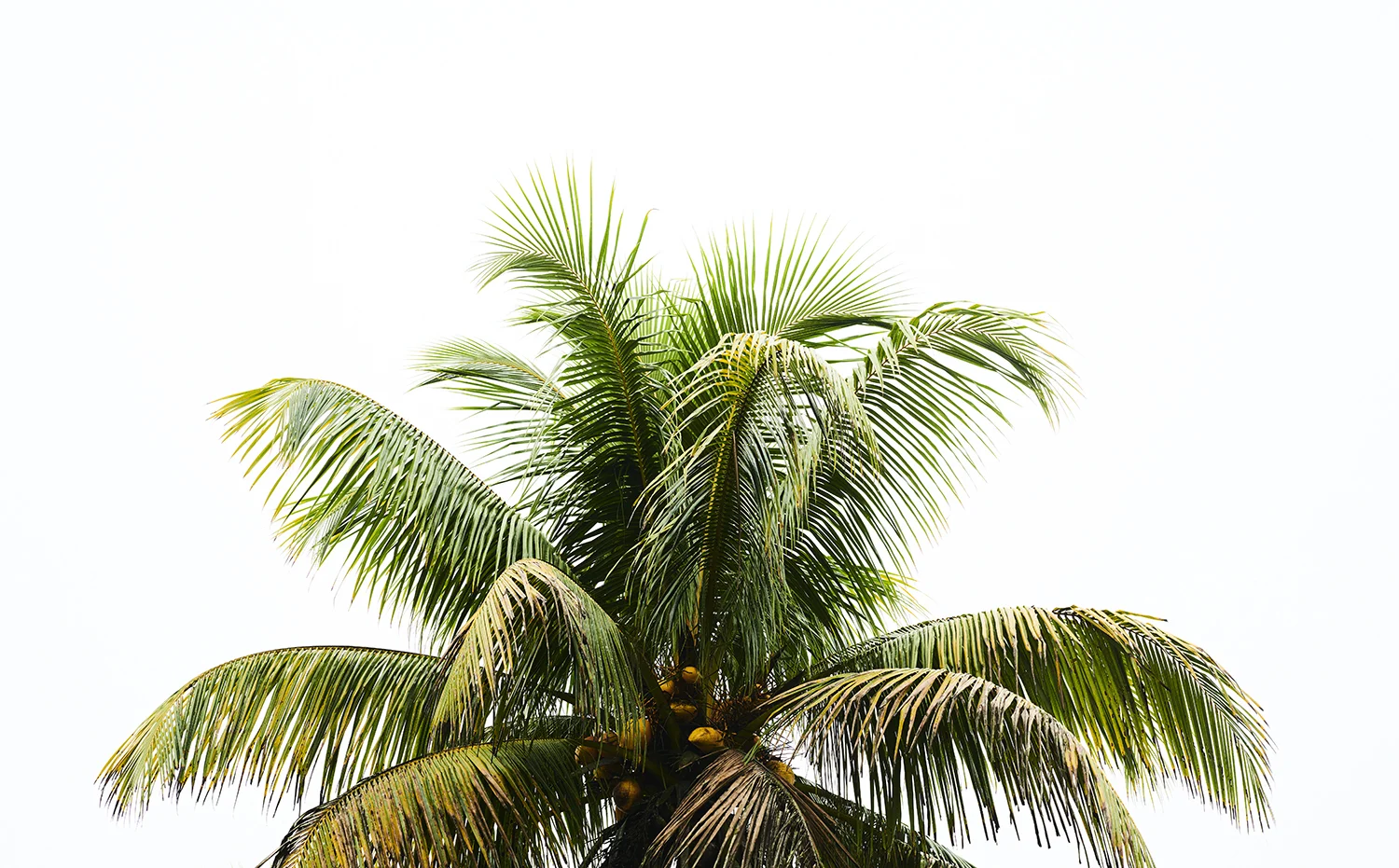 DSC_5683.jpg