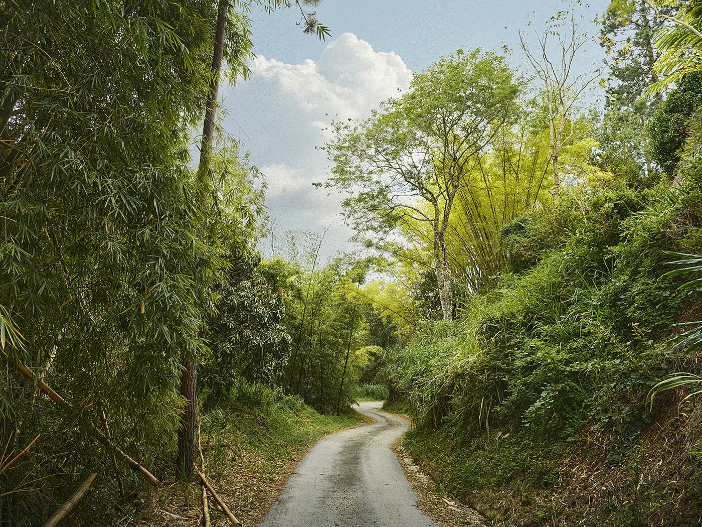 St Ann Heritage Journey