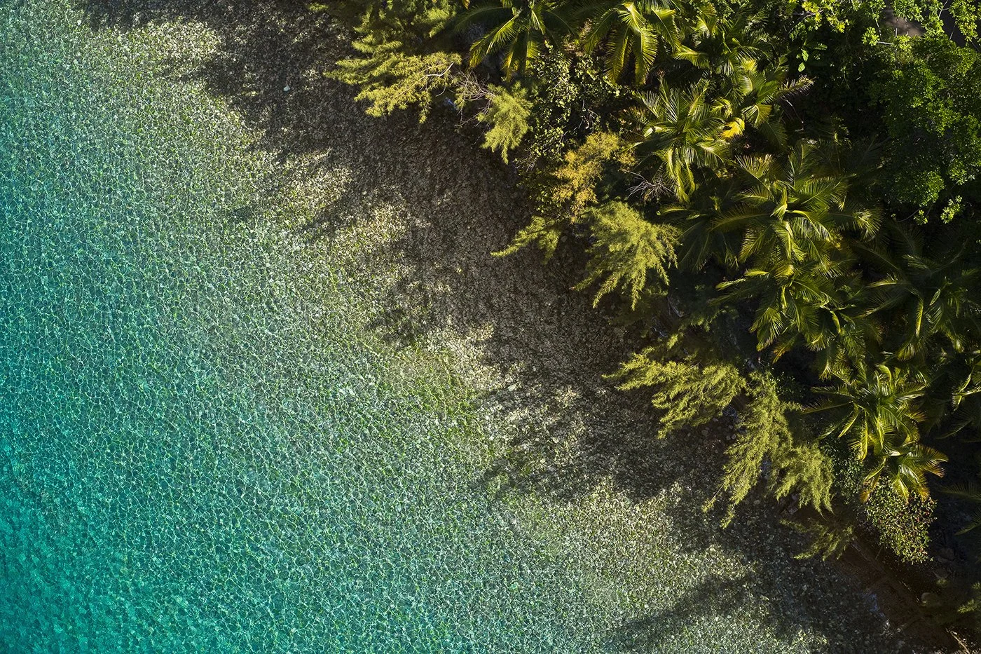 Coastal aerial view