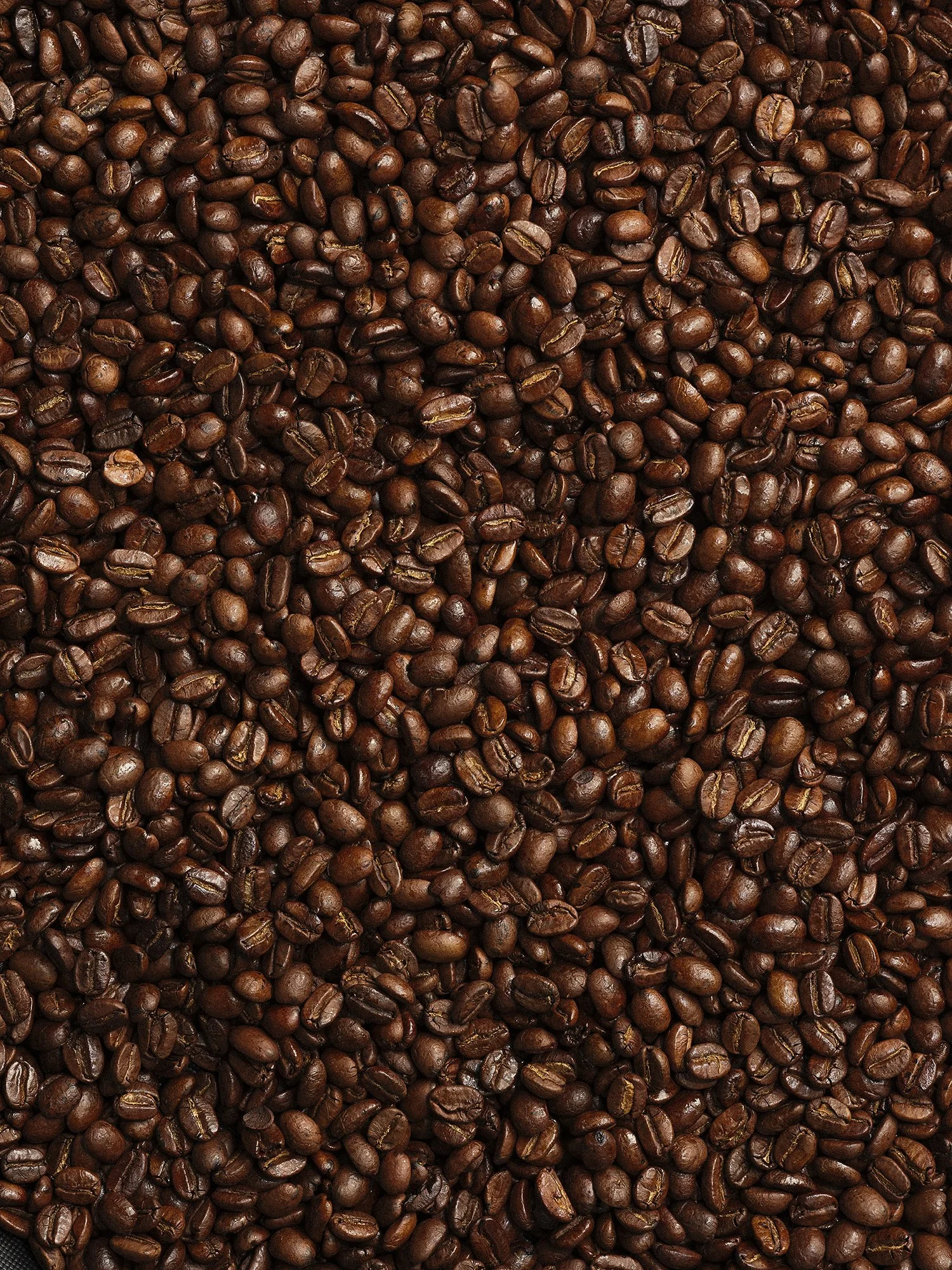 2024-06-08 11-08-18 (B,R8,S4) copy 2.jpg