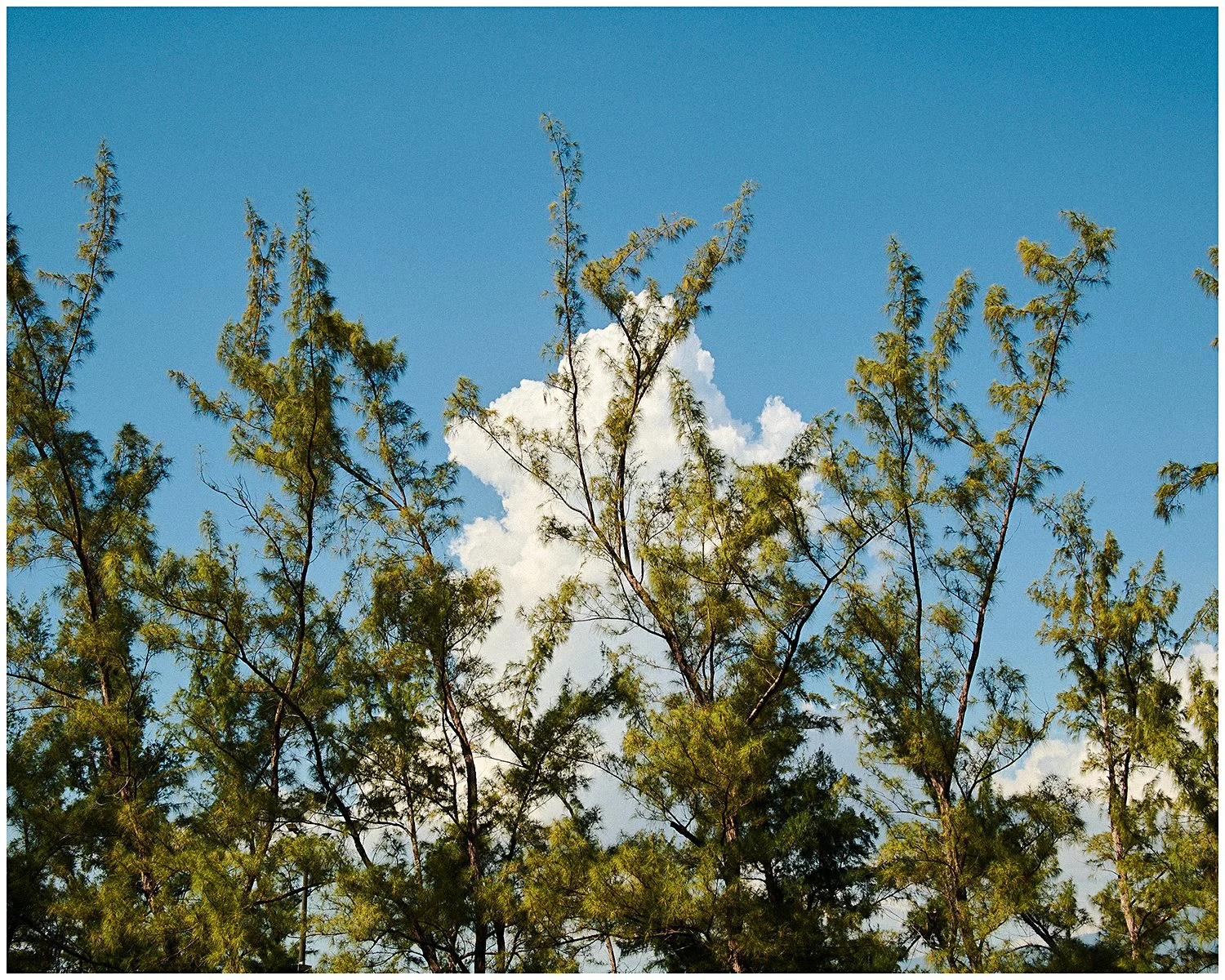 DSCF1823.JPG