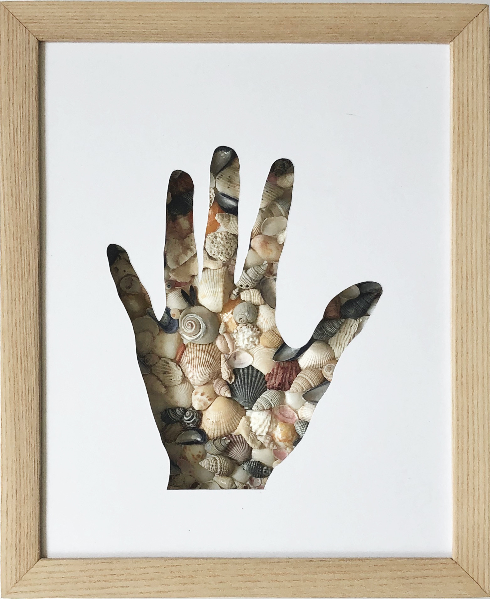   ego sum/I am (seashells)  paper, seashells 10 x 8 inches 