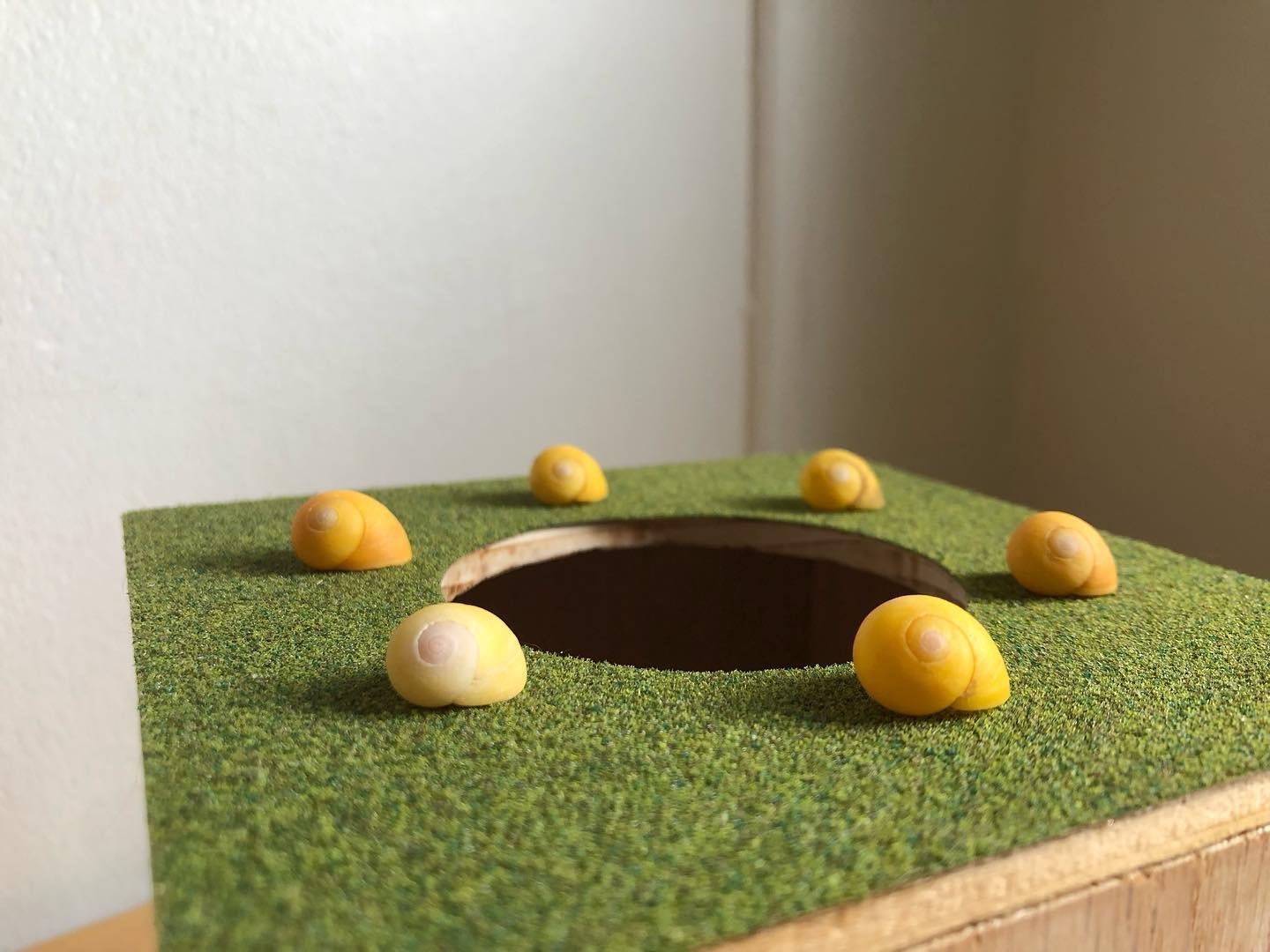 moon snail shells dancing in the moonlight (for Ari &amp; Derek)
plywood, model grass, moon snail shells
8 x 5 x 5 inches

there are only a handful of people in your life (if you&rsquo;re lucky) who will love something that you make for them that inv