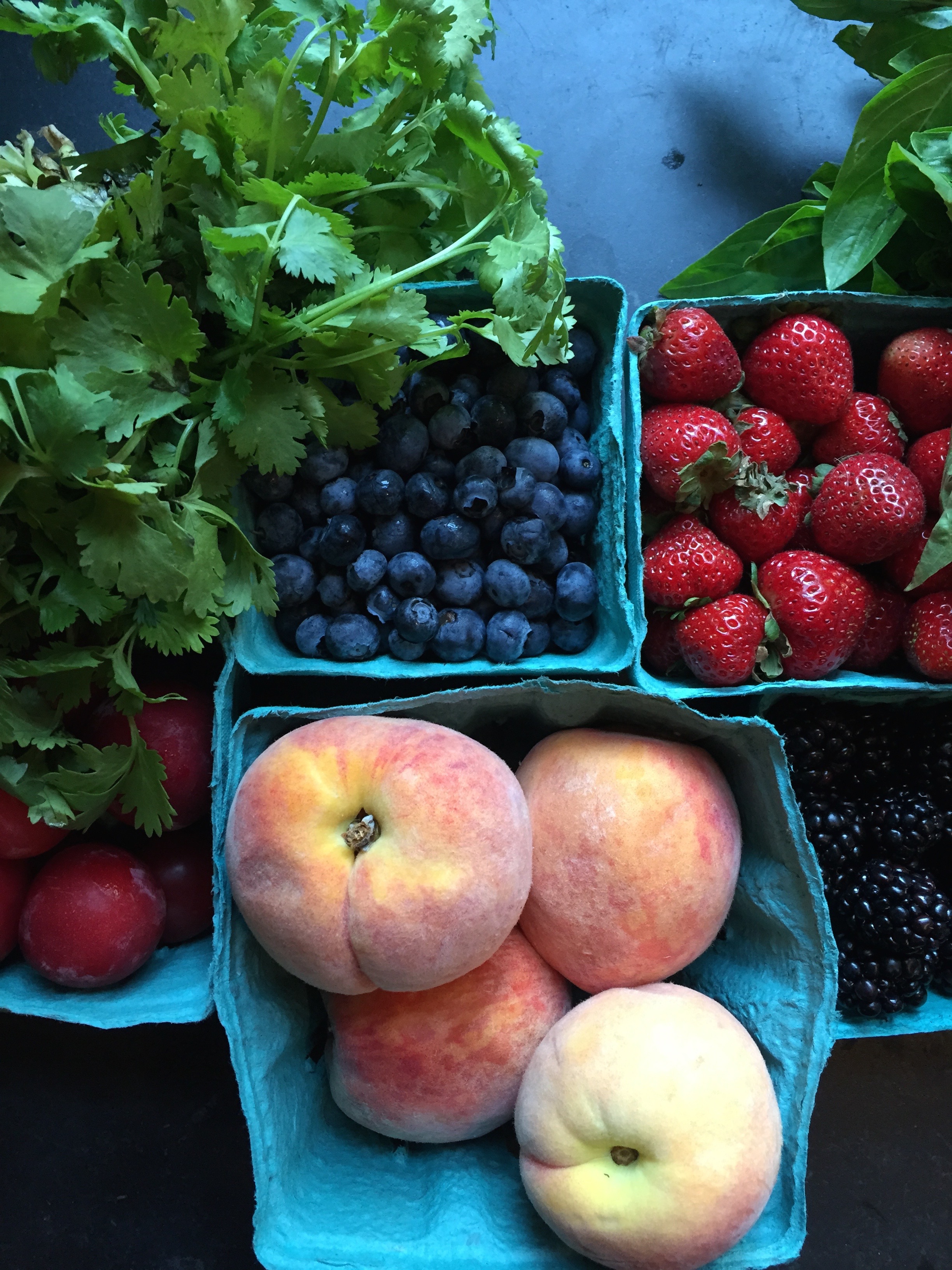Cilantro, blueberries, everbearing strawberries, blackberries, basil, peaches and plums.