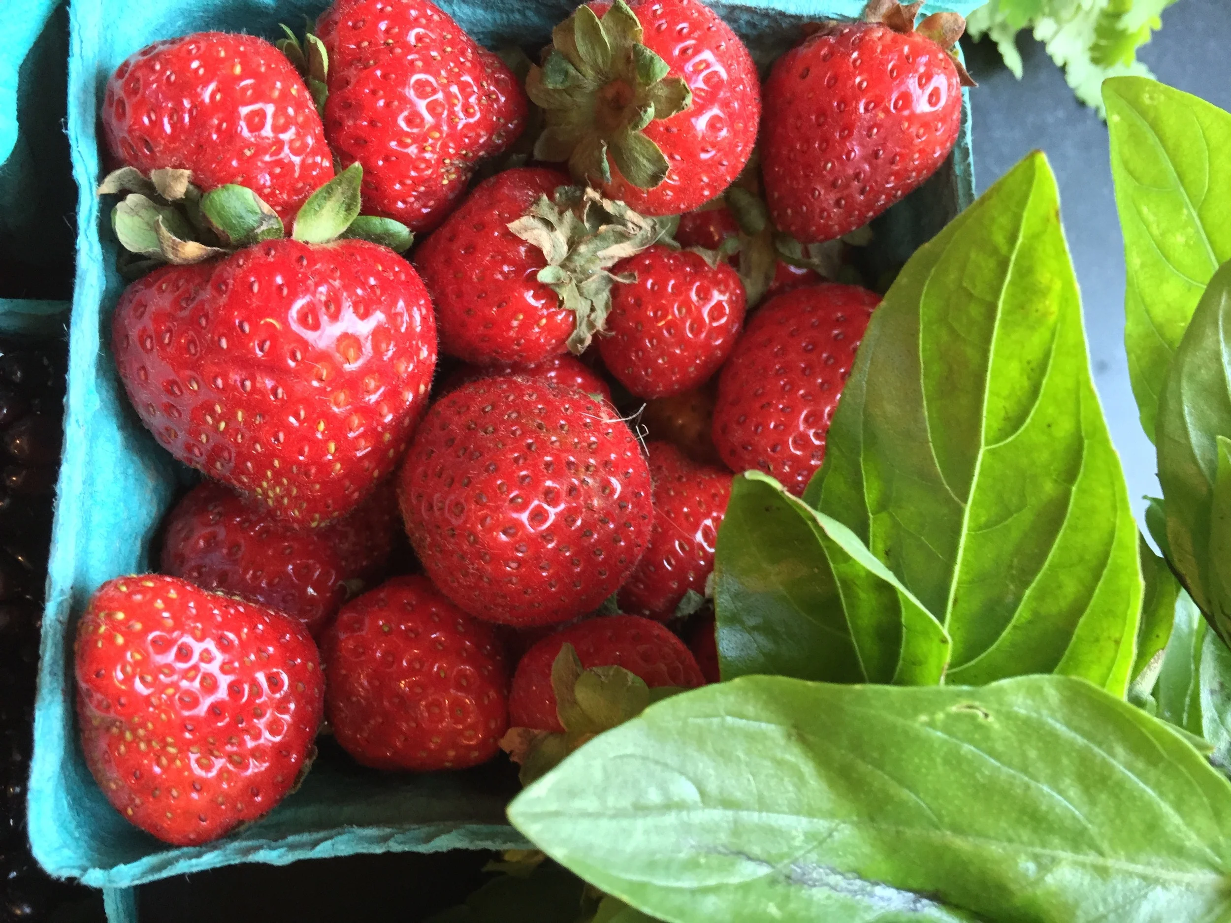 The Dharma Kitchen's Seven Favorite Herb Pairings