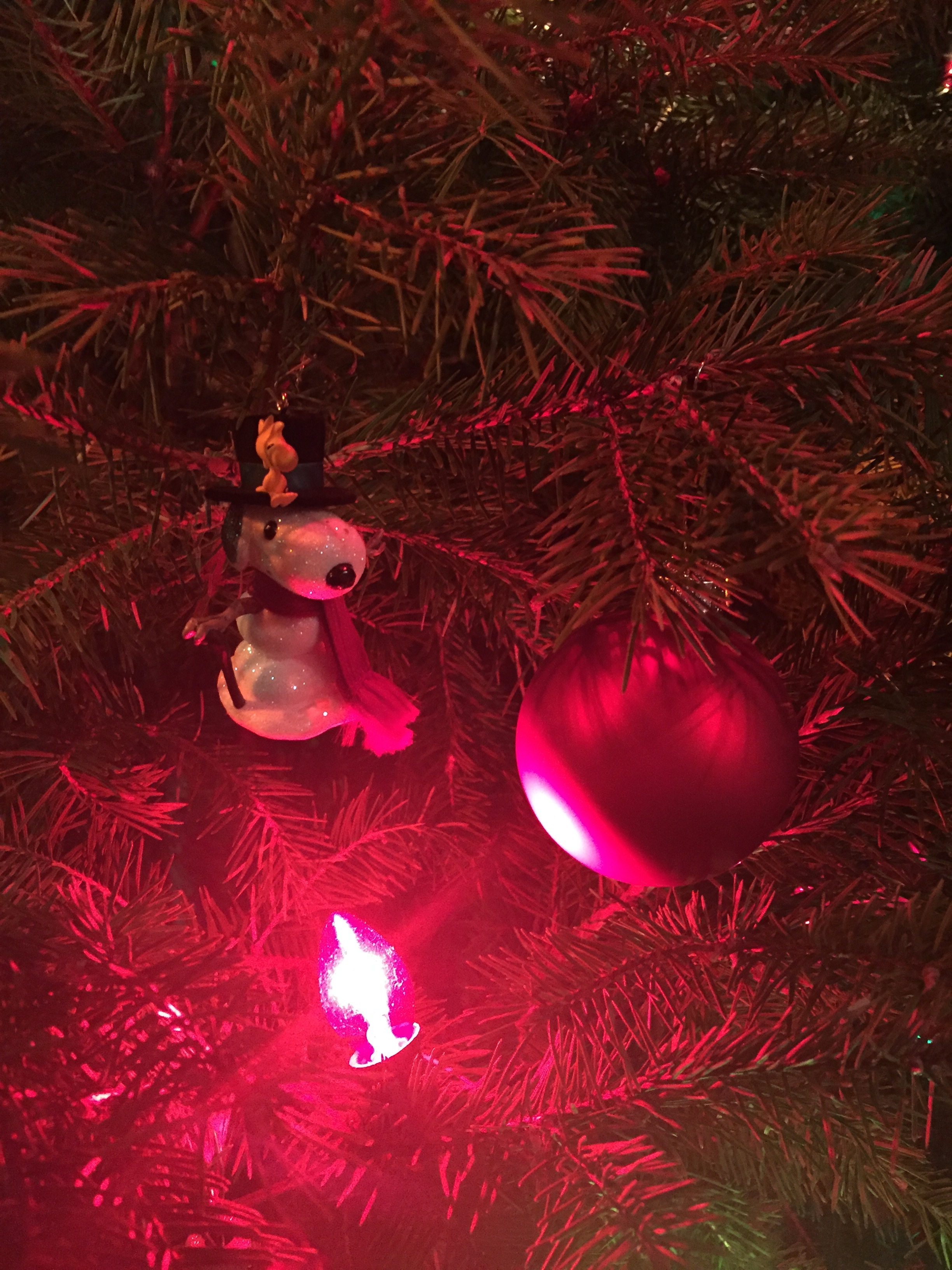  You can say no sometimes around the holidays and just just sit and look at your Christmas tree. 