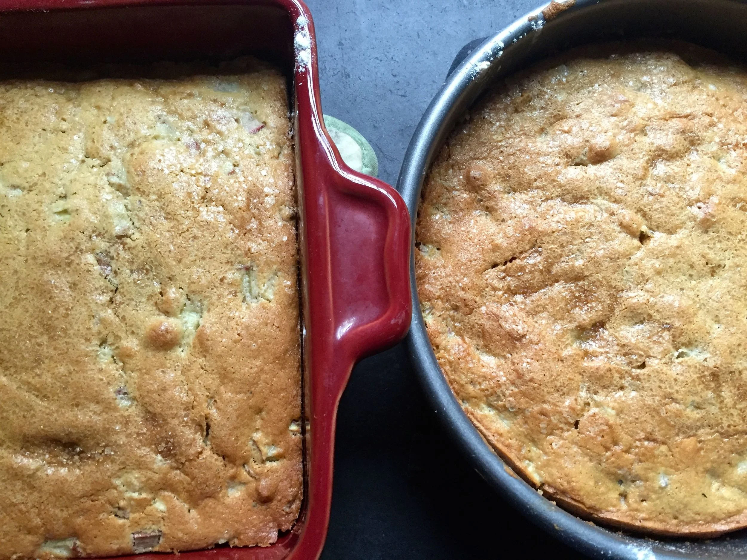 Unfussy rhubarb ginger cake. It doesn't look like much but don't let the appearance fool you!