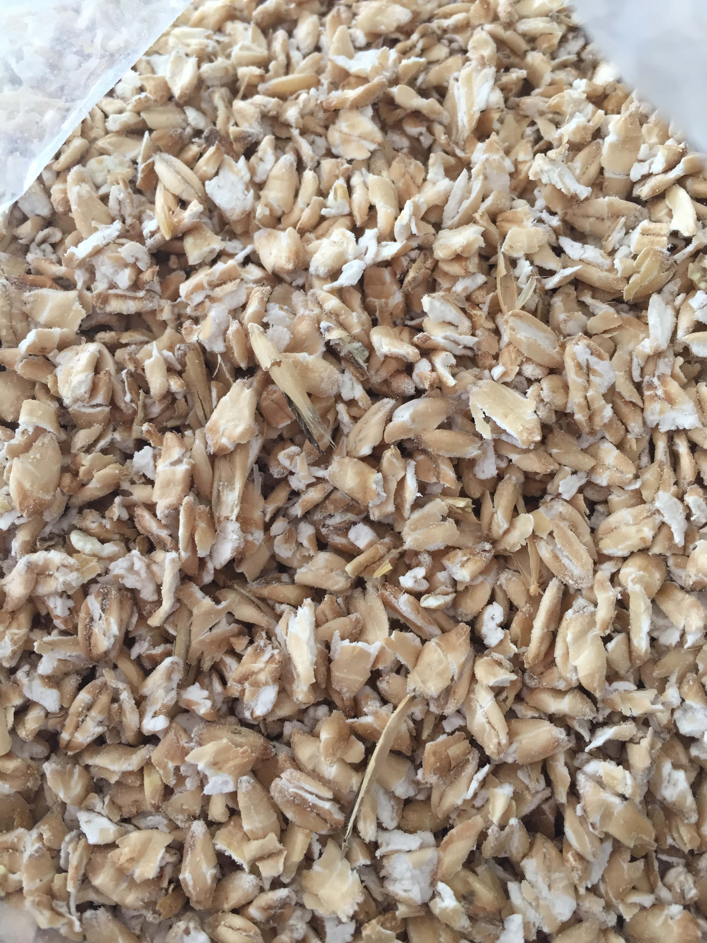 Red Cat Farm's oats. Purchased at Easton Public Market