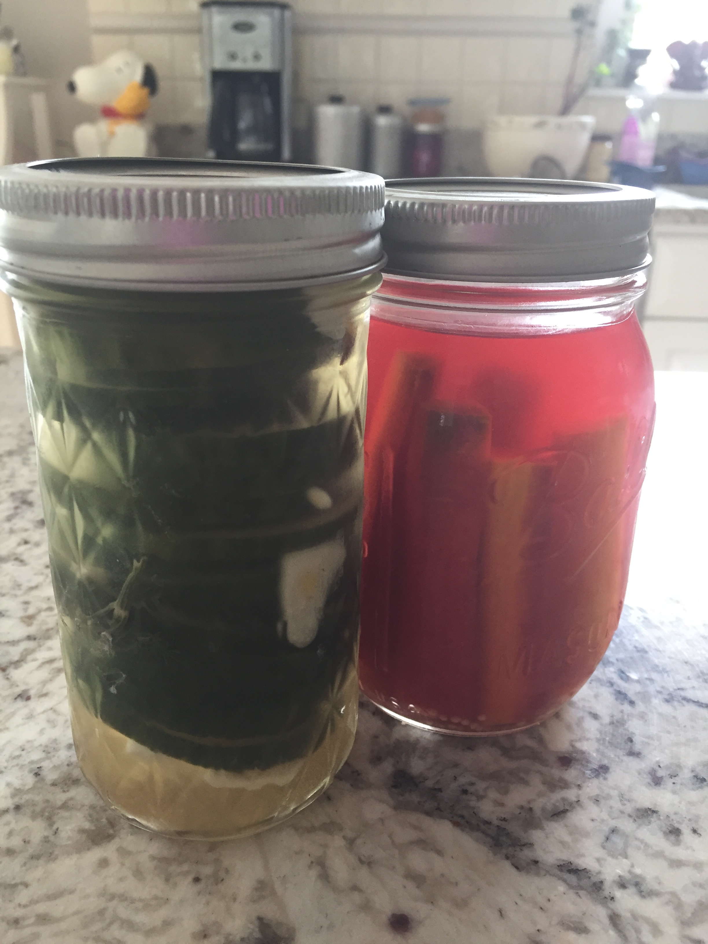 Cucumbers with garlic, dill and mustard seed; carrots with thyme and ginger. The brine turned pinkish red thanks to the interaction of purple carrots with the vinegar. 