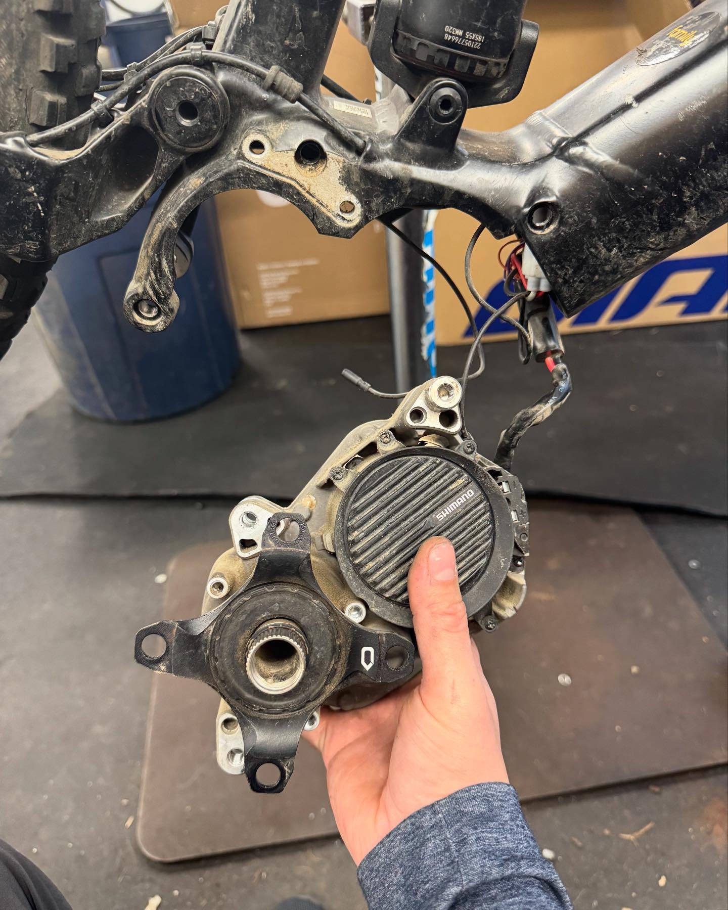 Yeah we do motor swaps too