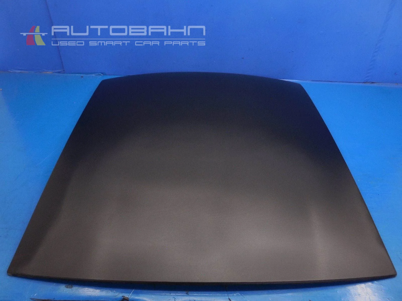 Fortwo Passion Pure (2008-2014) OEM Roof Panel 04.jpg