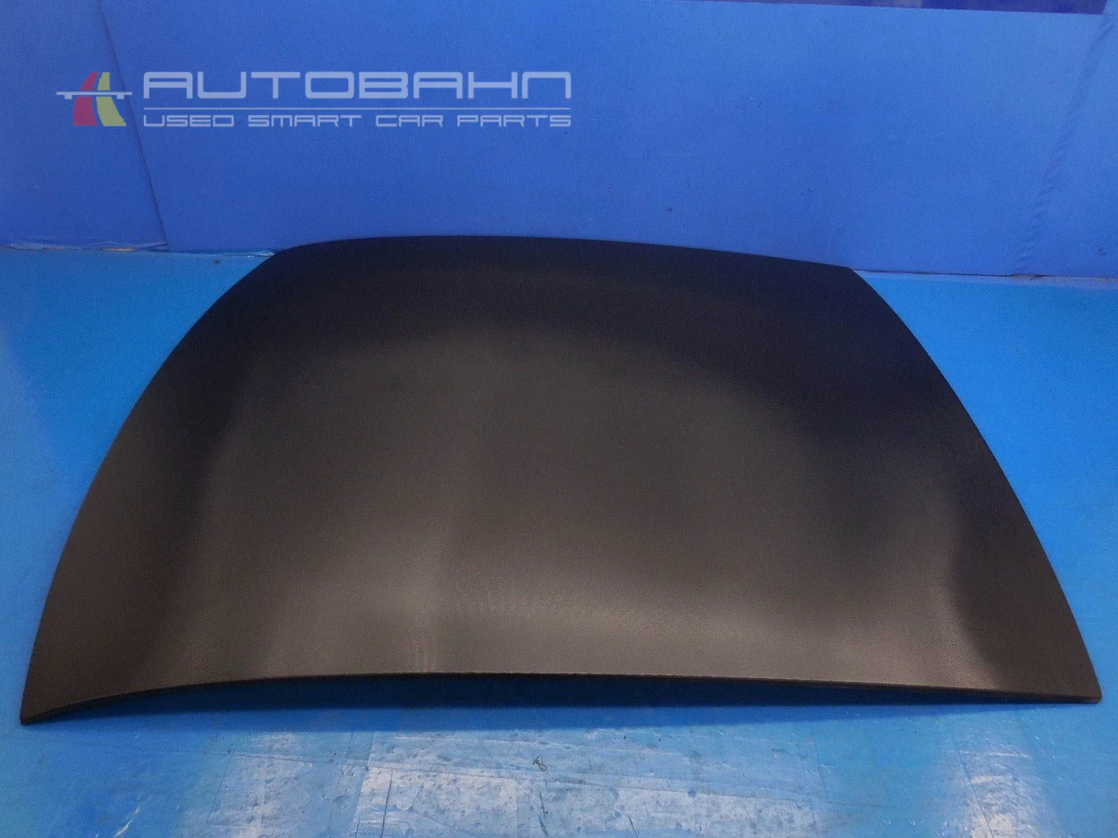 Fortwo Passion Pure (2008-2014) OEM Roof Panel 03.jpg