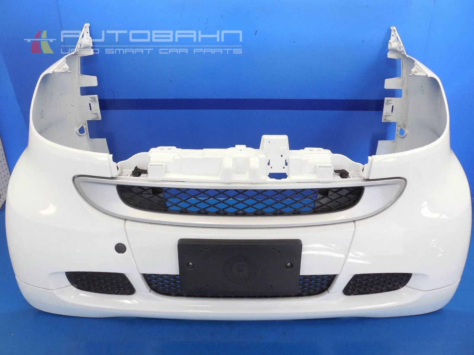 Fortwo-Passion-Pure-OEM-Front-End-Body-Panel-Set-Fenders-Bumper-Grills-02.jpg