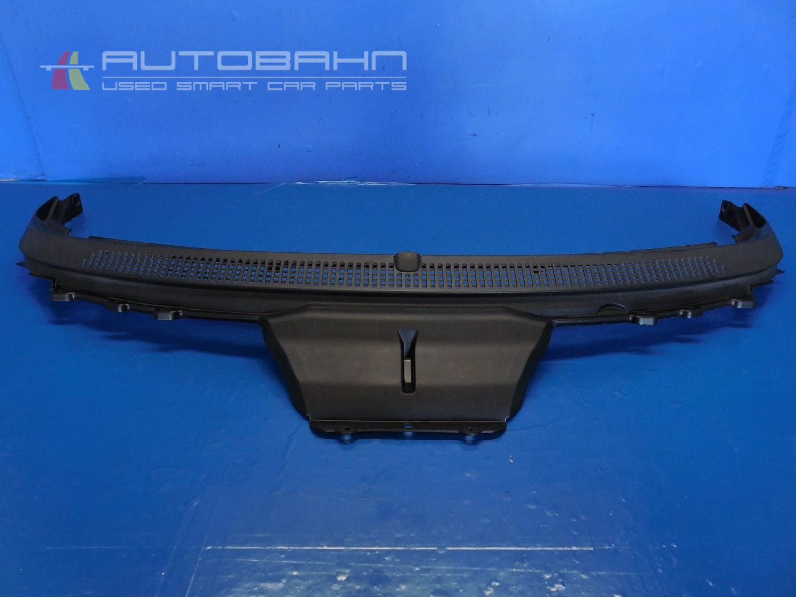 Fortwo Passion Pure 2008-2014 OEM Cowl Grille 01.jpg