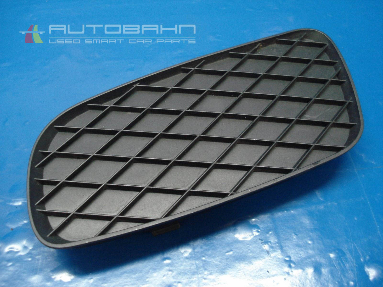 ForTwo OEM Left Drivers Side Lower Front Bumper Cover 01.jpg