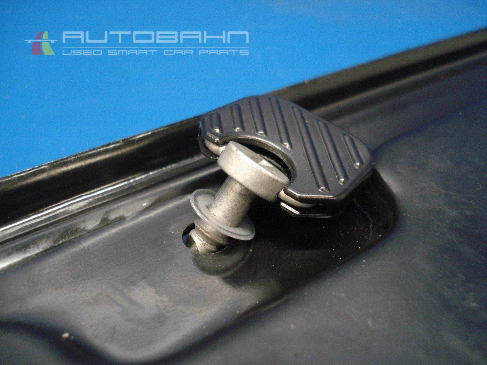 ForTwo Passion Pure OEM Rear Engine Access Lid Door 03.jpg