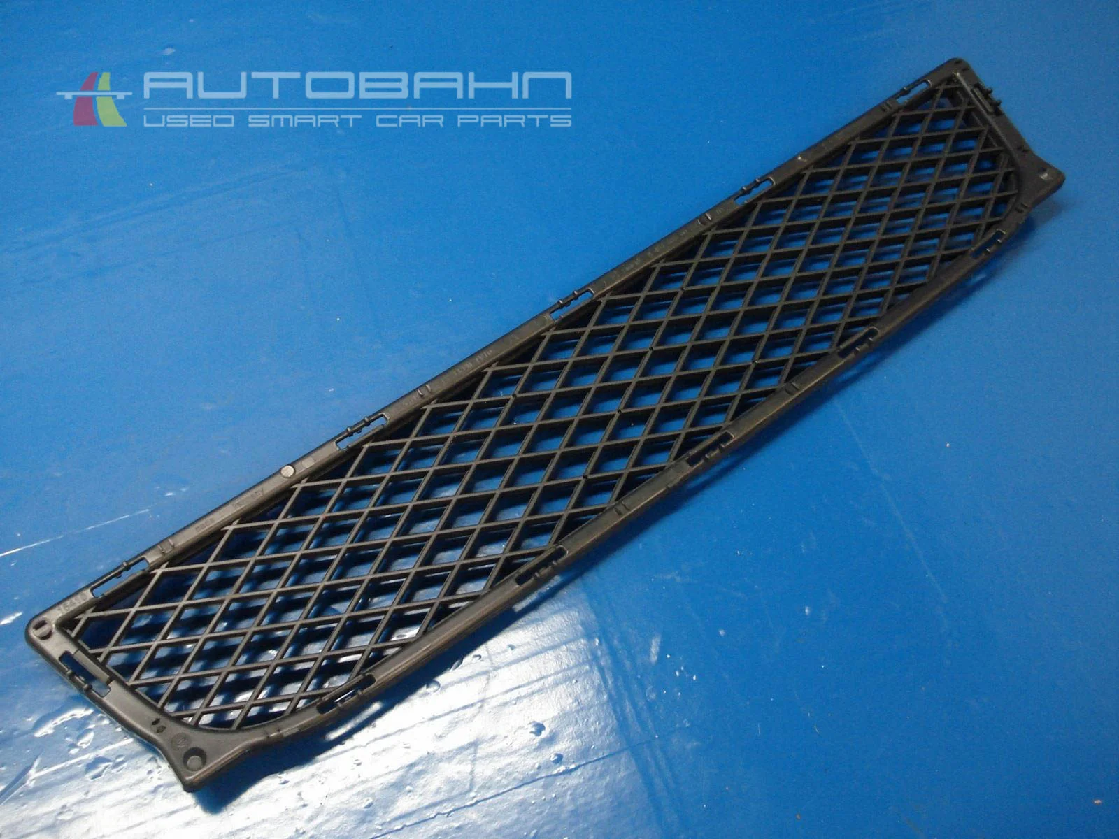 ForTwo Passion Pure OEM Lower Grille Front Bumper 01.jpg