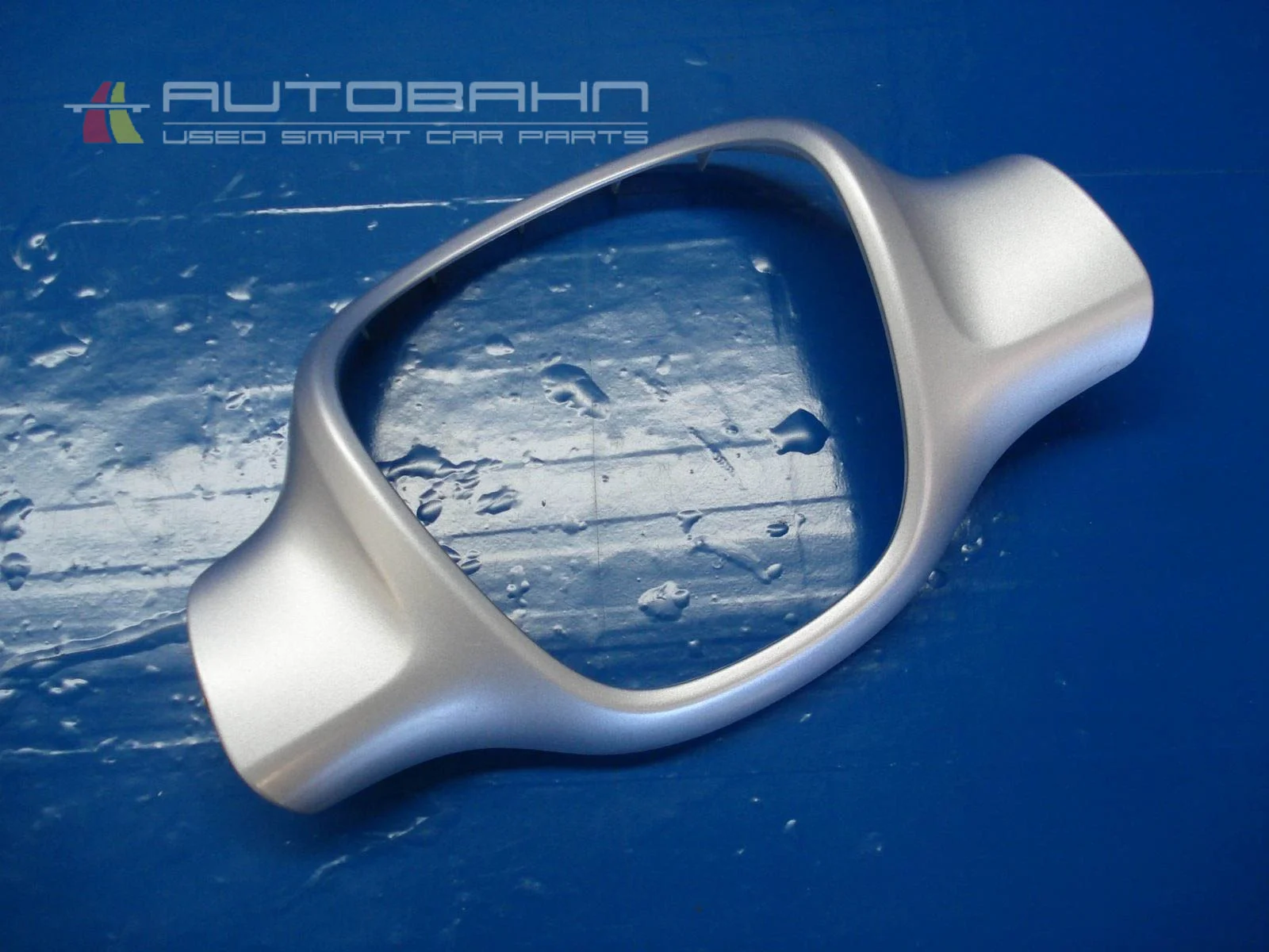 ForTwo Passion Pure OEM 2 Spoke Steering Wheel Trim 01.jpg