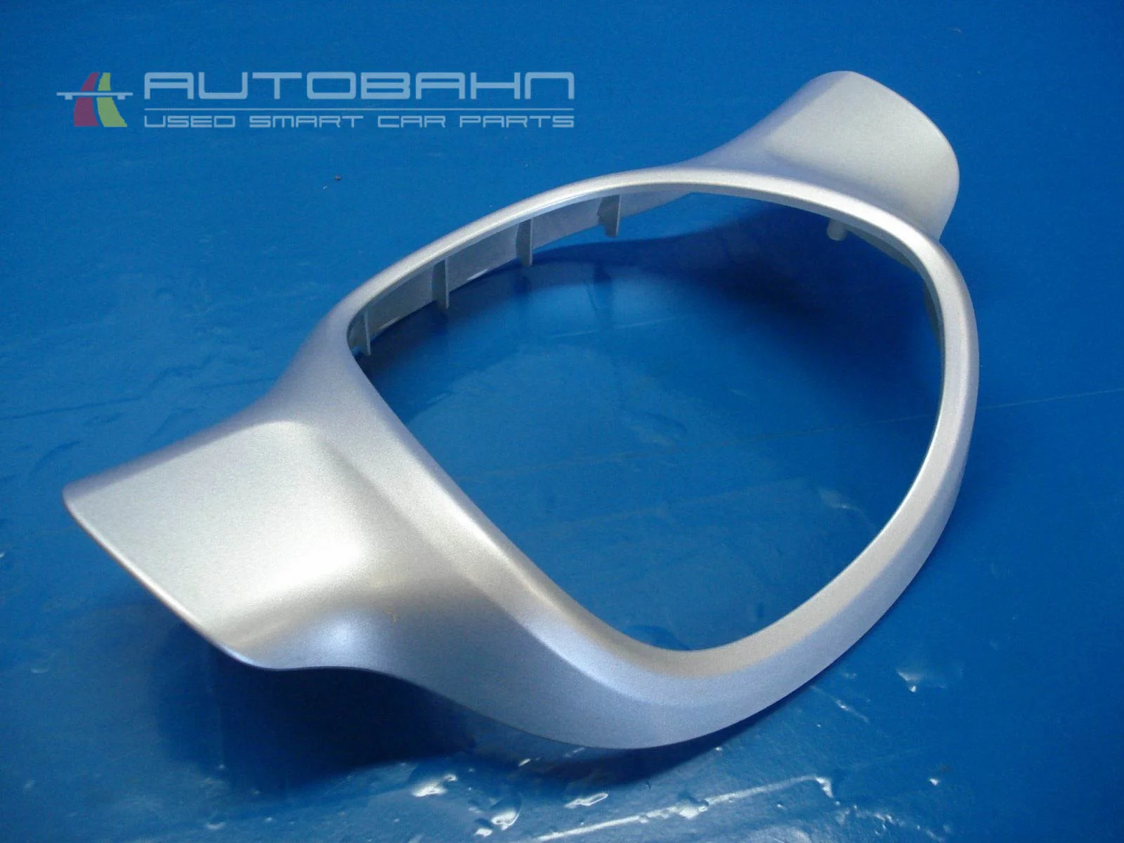 ForTwo Passion Pure OEM 2 Spoke Steering Wheel Trim 03.jpg