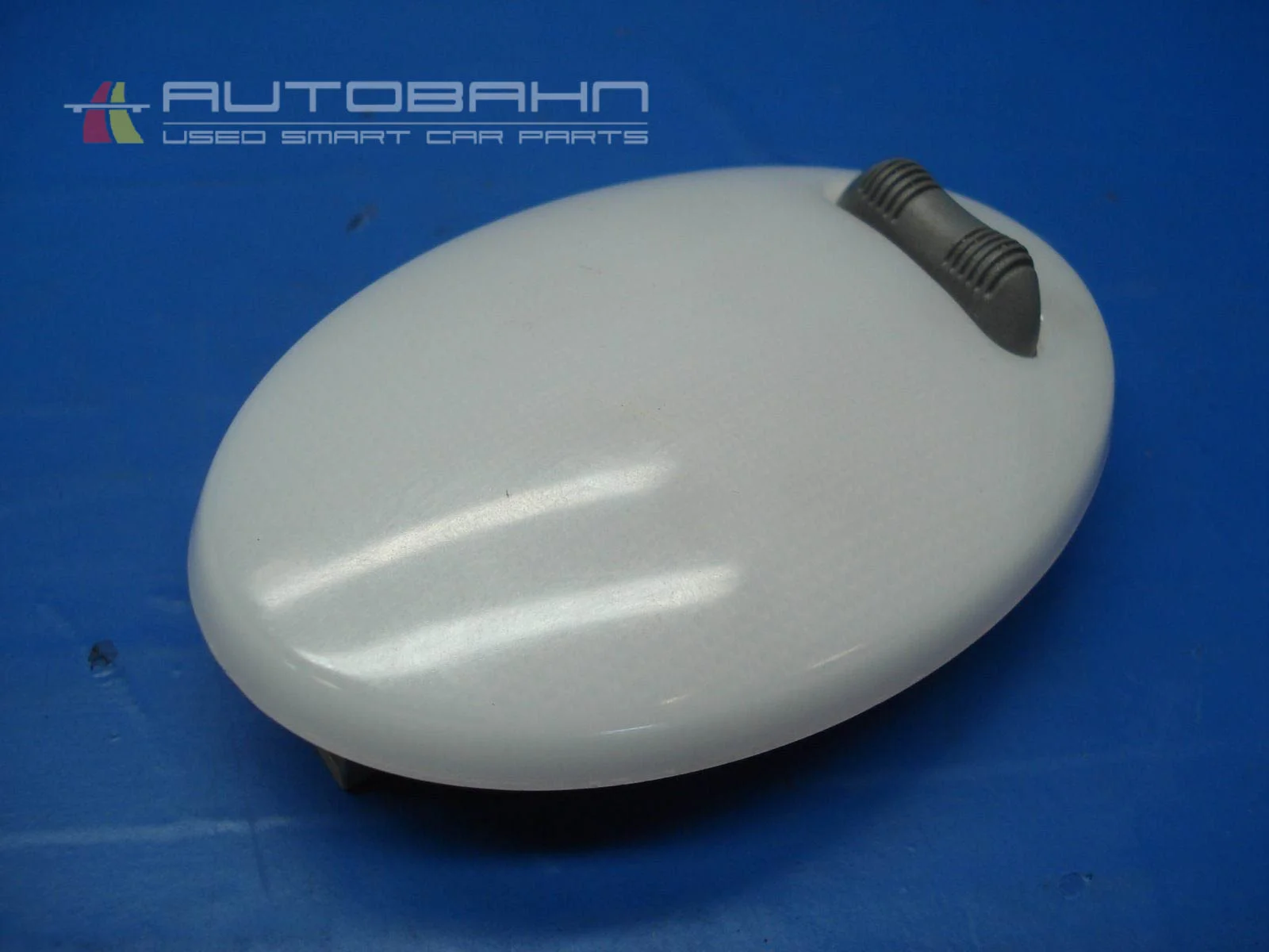 Fortwo Passion Pure OEM Interior Overhead Dome Map Light 01.jpg