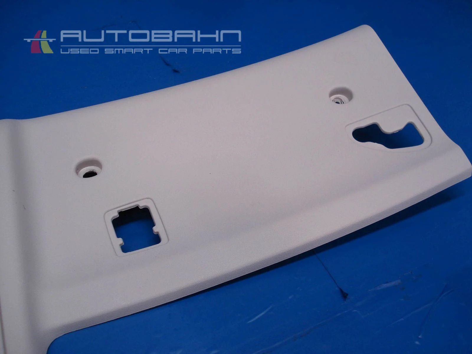Fortwo Passion Pure OEM Headliner Trim +Dome Light 04.jpg