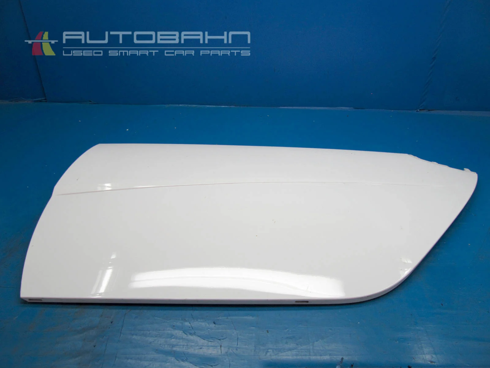 Fortwo Passion Left Drivers Door Skin Panel 01.jpg