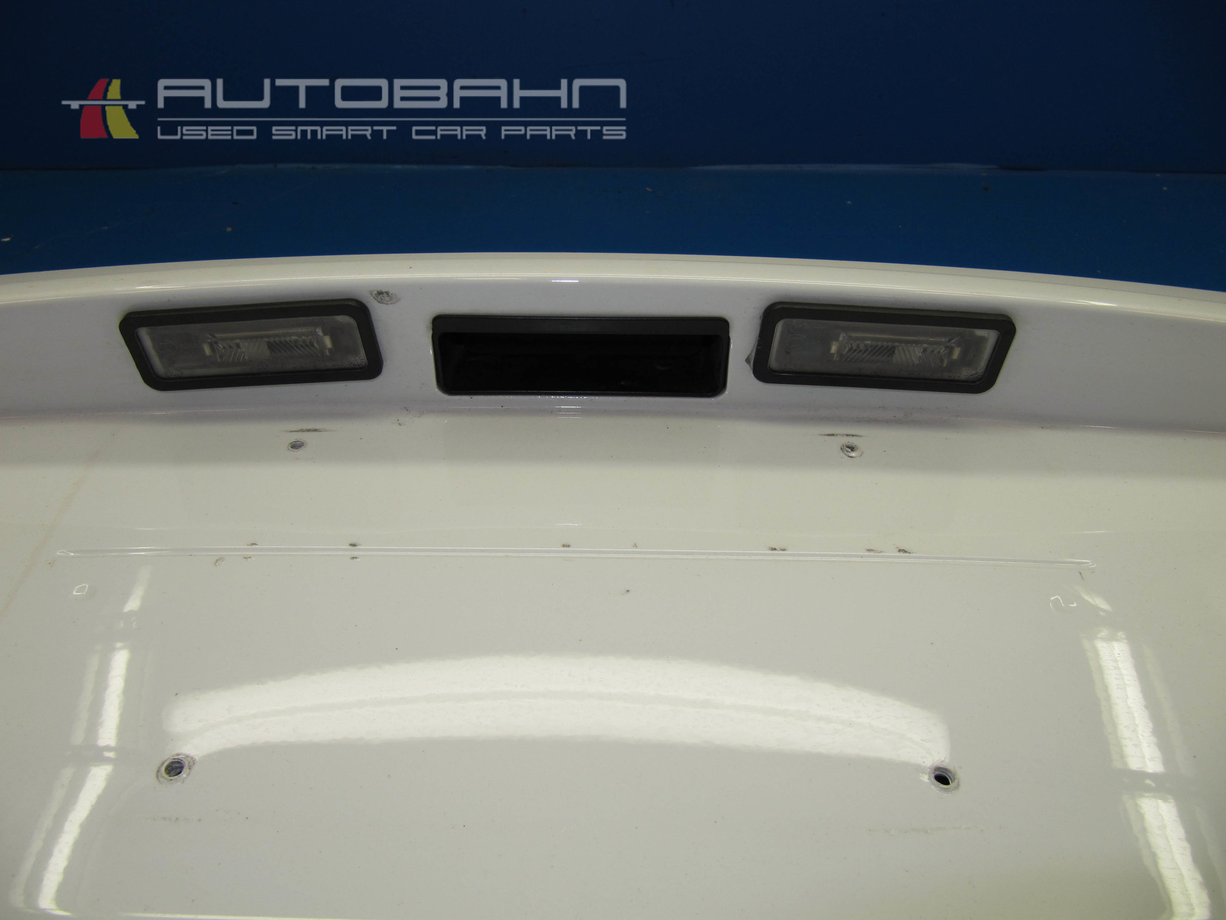 Fortwo Passion Rear Tailgate Skin Panel 04.jpg