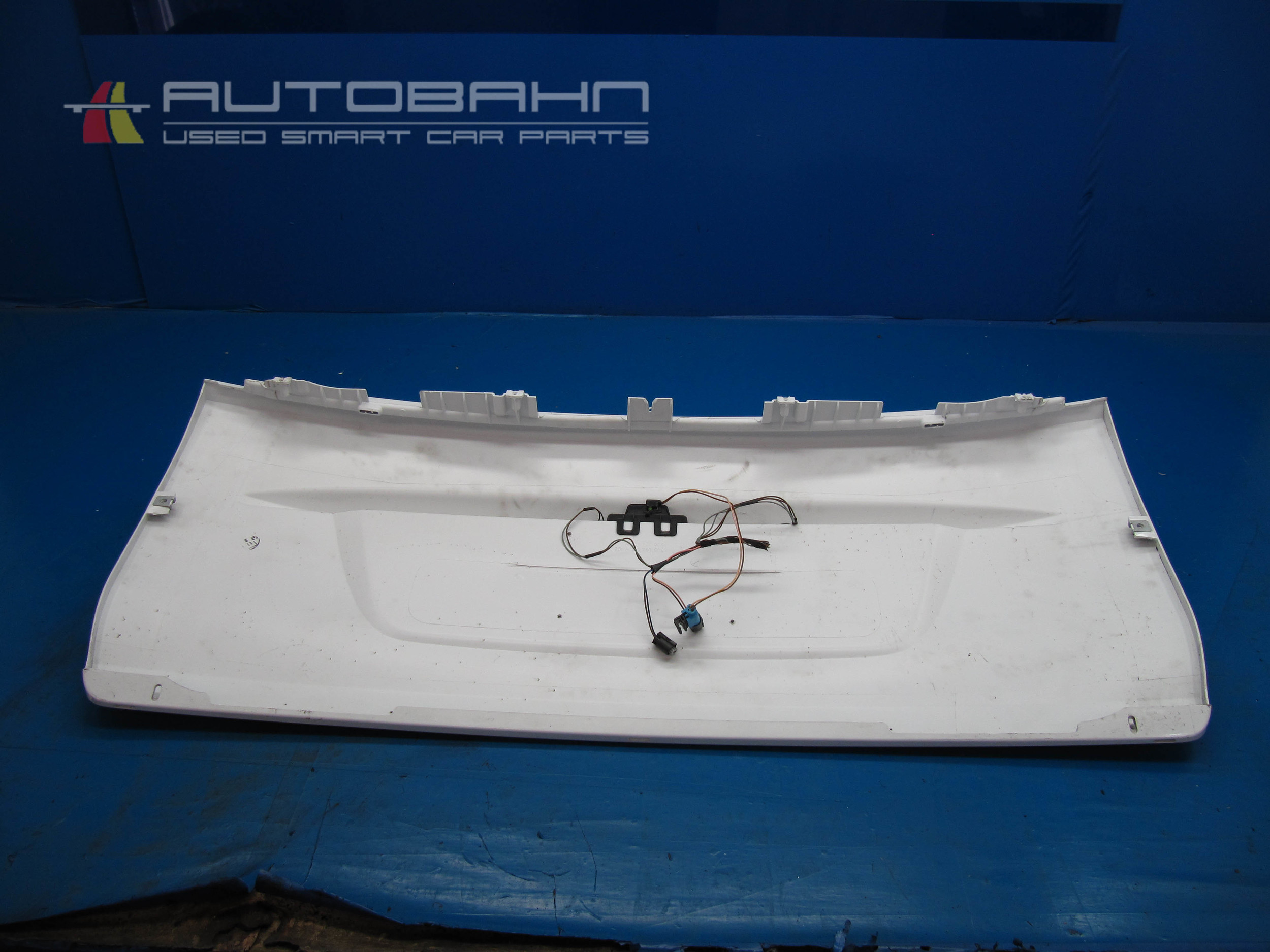 Fortwo Passion Rear Tailgate Skin Panel 07.jpg