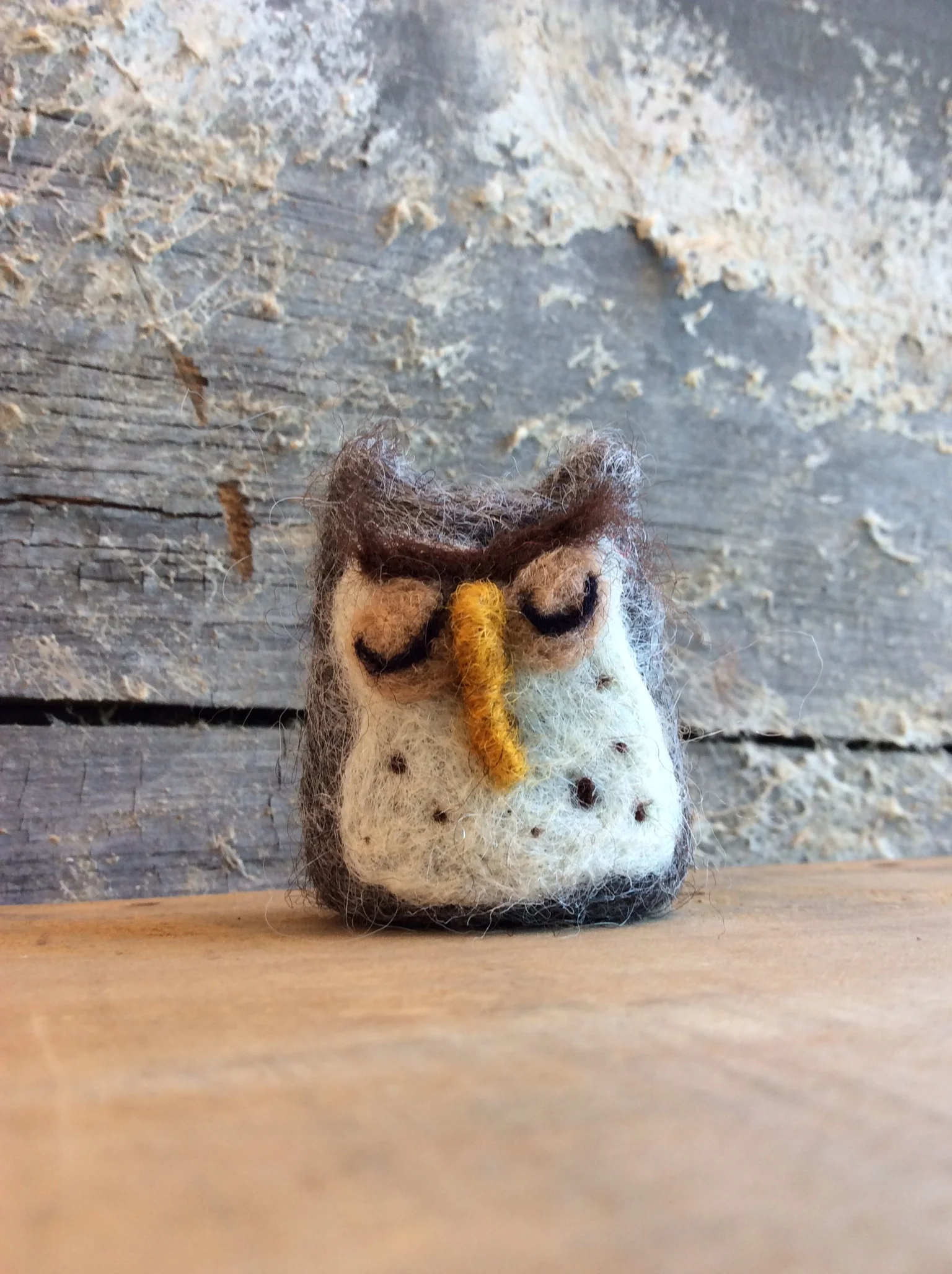 Needle Felt Owl Class