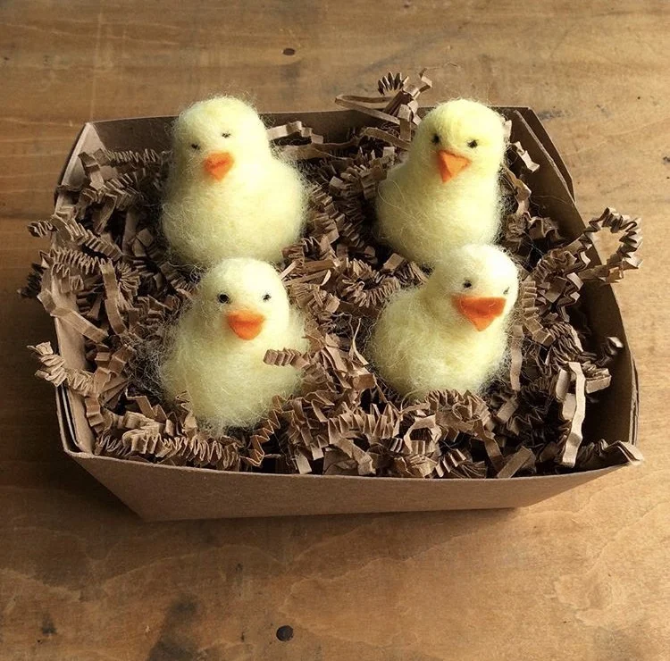 Spring Chickens Class